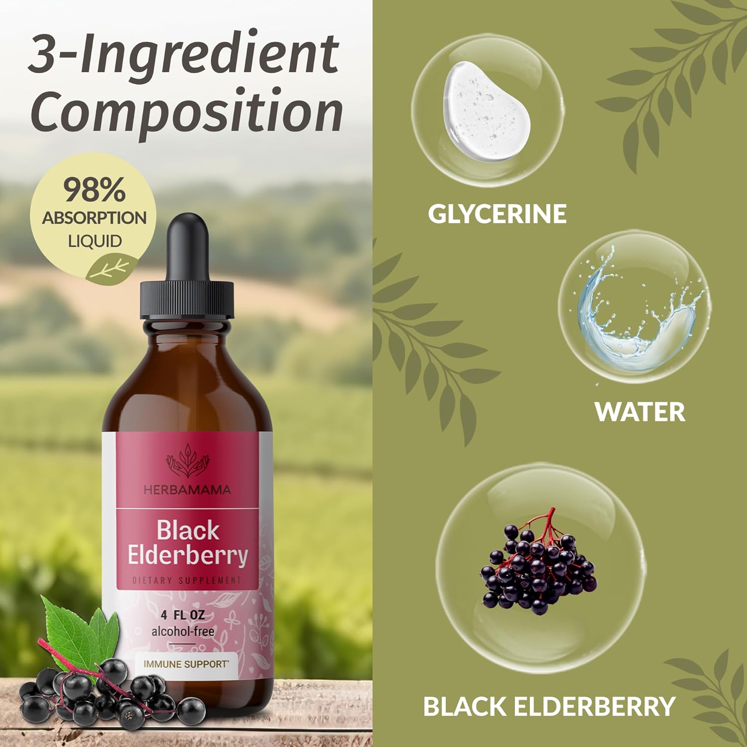Quercetin Gummies & Elderberry Tincture Kit - 800mg Quercetin with Bromelain Gummies & Black Elderberry Tincture - Vegan, Non-GMO, Alcohol-Free - 2 Pack