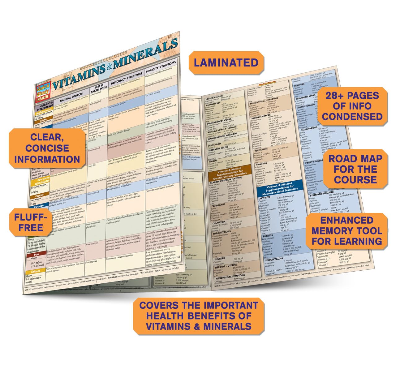 QuickStudy Laminated Guide: Vitamins & Minerals for Health - Easy Reference