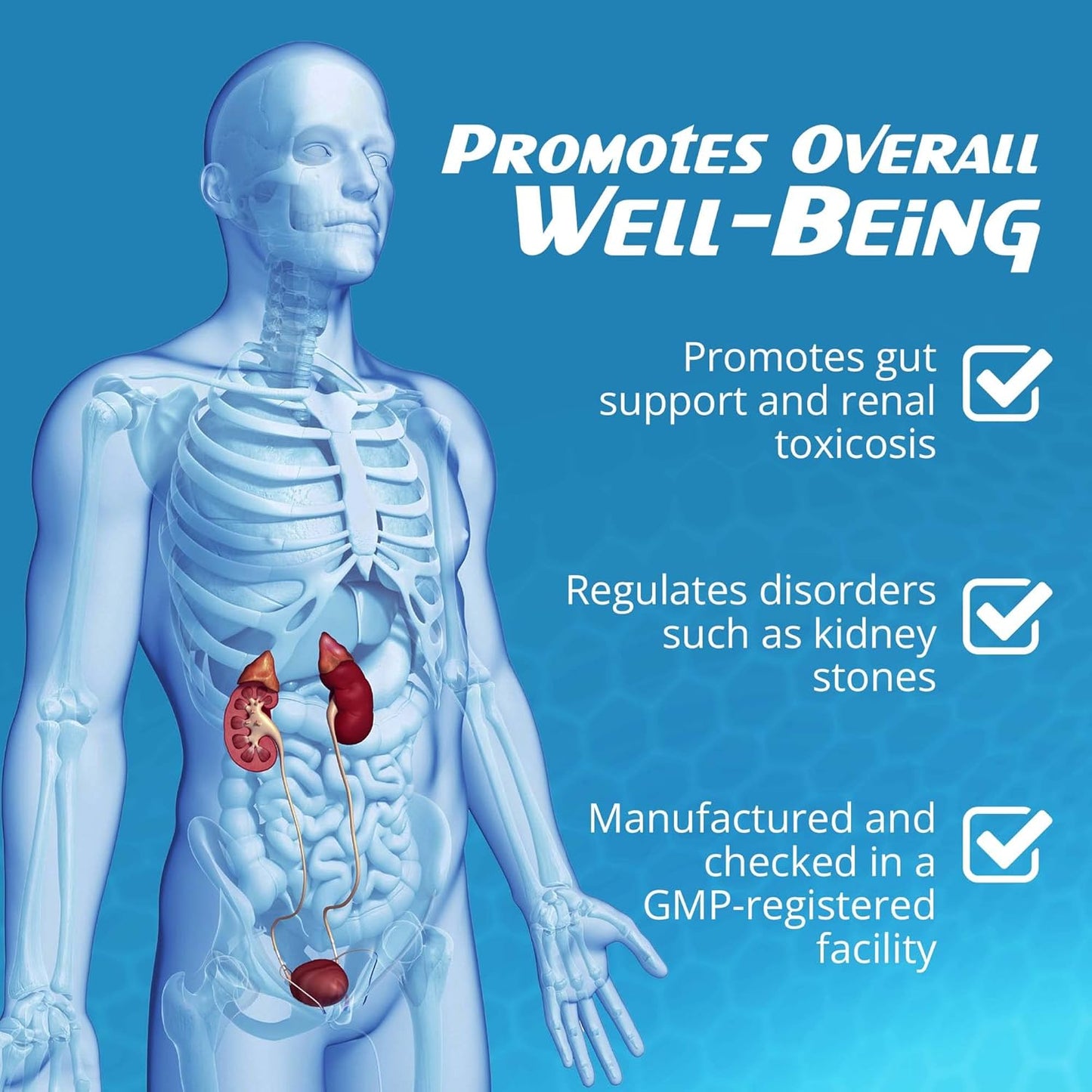 RaDoTech RenoSan: Kidney Cleanse & Immune Support with Olive Leaf Extract - 60 Veg Capsules for Overall Well-Being