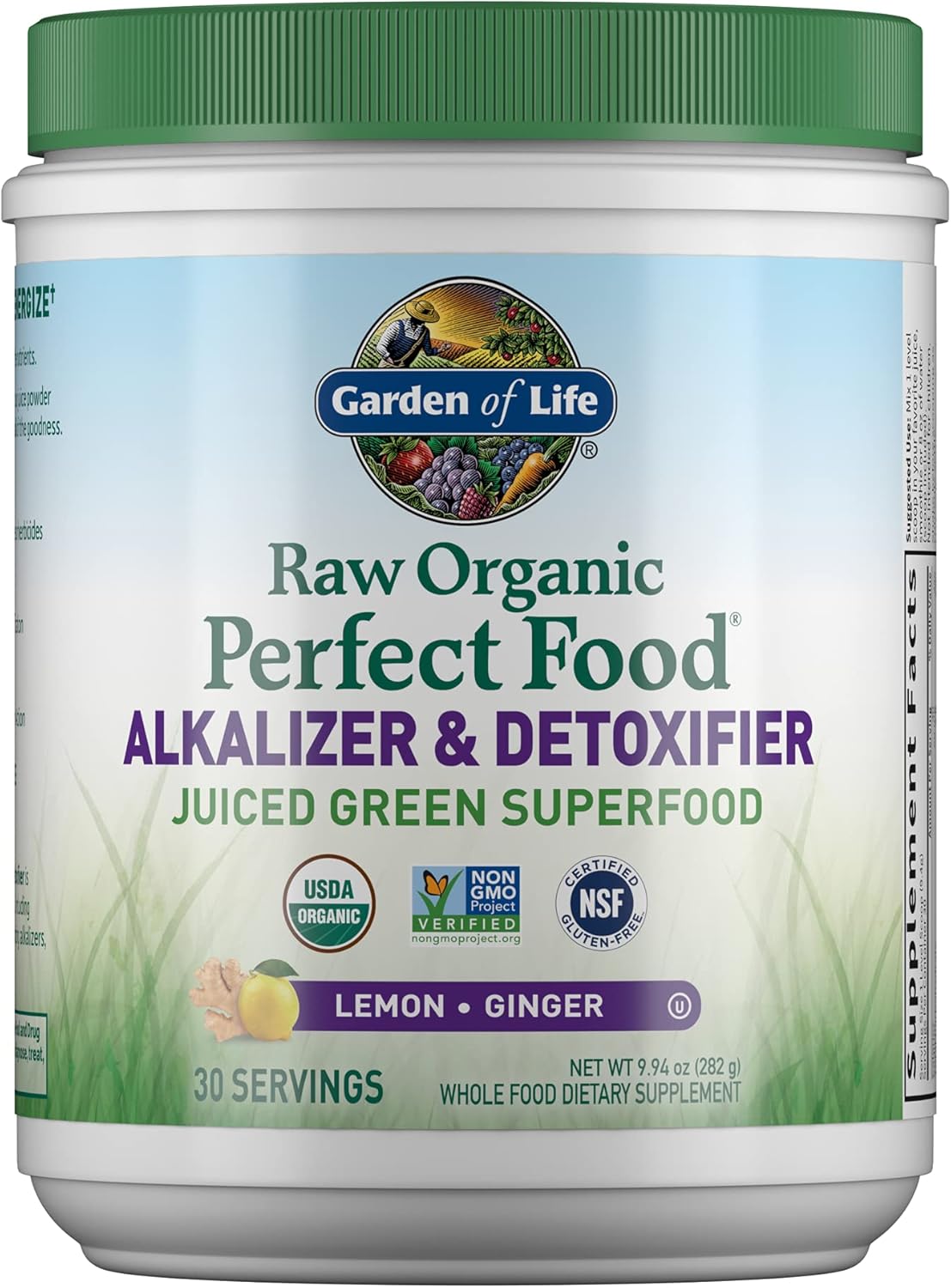 Raw Organic Perfect Food Alkalizer & Detoxifier Greens Superfood Powder - Vegan Protein Meal Replacement Shake - Vanilla Flavor