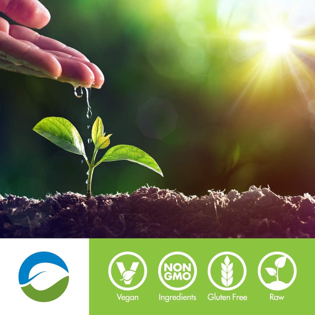 RawFusion Plant Protein Powder, Peanut Chocolate Fudge Flavor, 32.9 oz - Single Pack