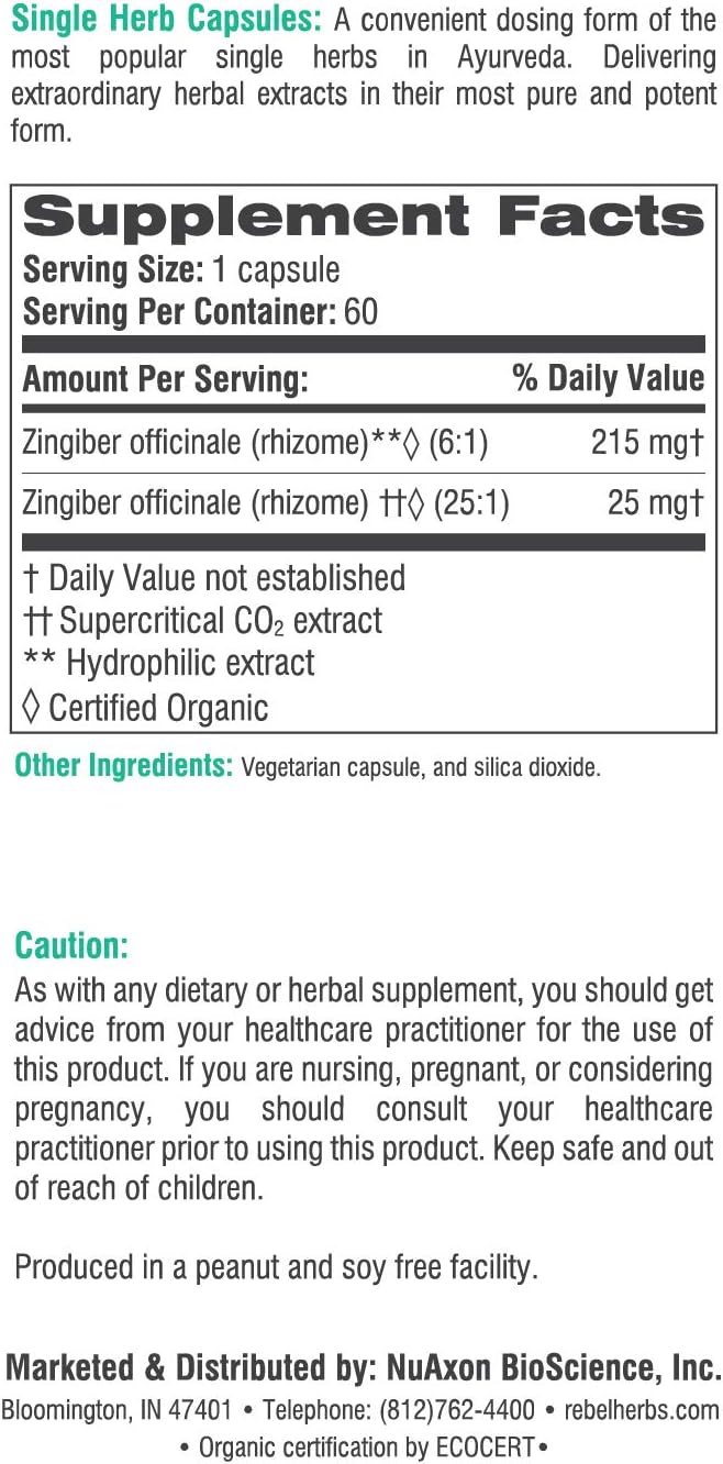 Rebel Herbs Ginger Root Capsules - Non-GMO, Gluten Free, Dual Extract Formula