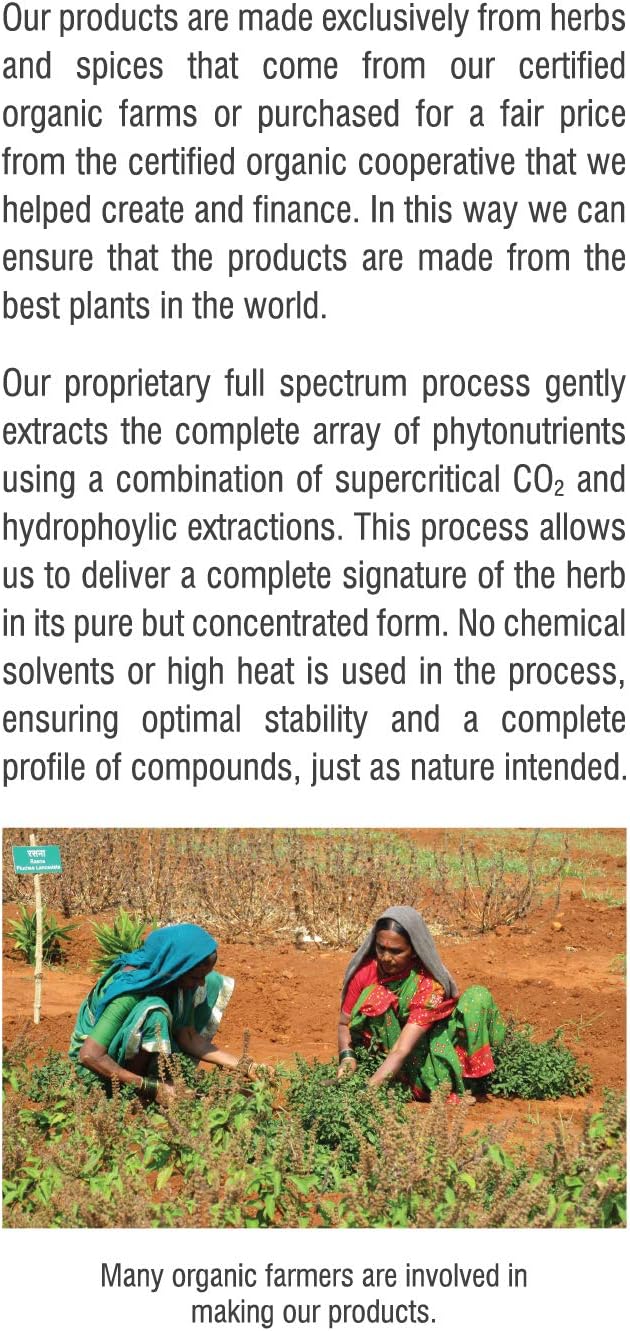 Rebel Herbs Ginger Root Capsules - Non-GMO, Gluten Free, Dual Extract Formula