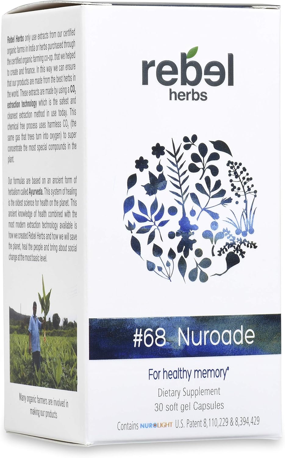 Rebel Herbs Nuroade Capsules: Brain Supplement for Focus, Memory, and Clarity with Bacopa and Celastrus
