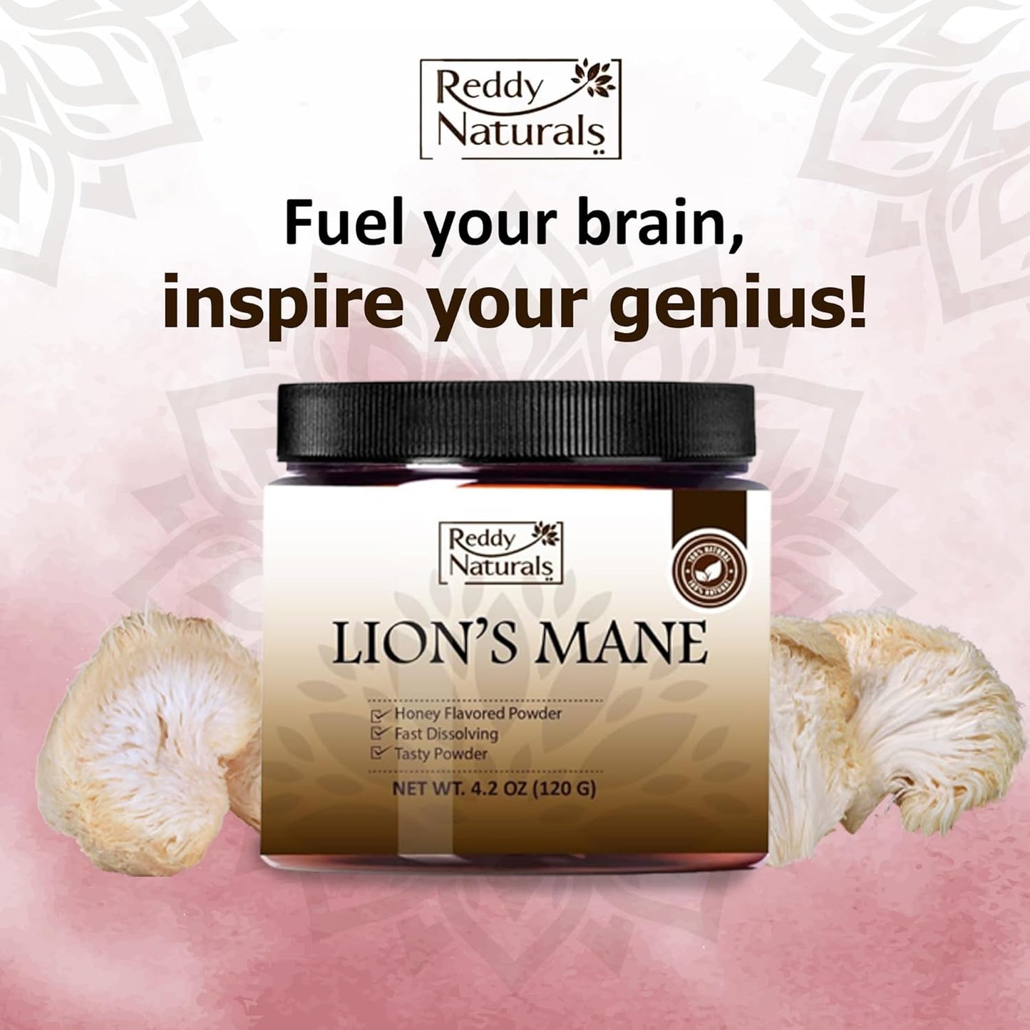 Reddy Naturals Aryana Lion’s Mane Powder with Beta Glucan & Acacia Gum - Cognitive and Immune Support - Sugar-Free Orange - 30 Servings