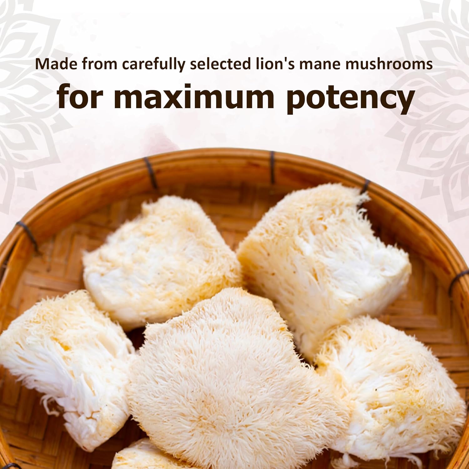 Reddy Naturals Aryana Lion’s Mane Powder with Beta Glucan & Acacia Gum - Cognitive and Immune Support - Sugar-Free Orange - 30 Servings