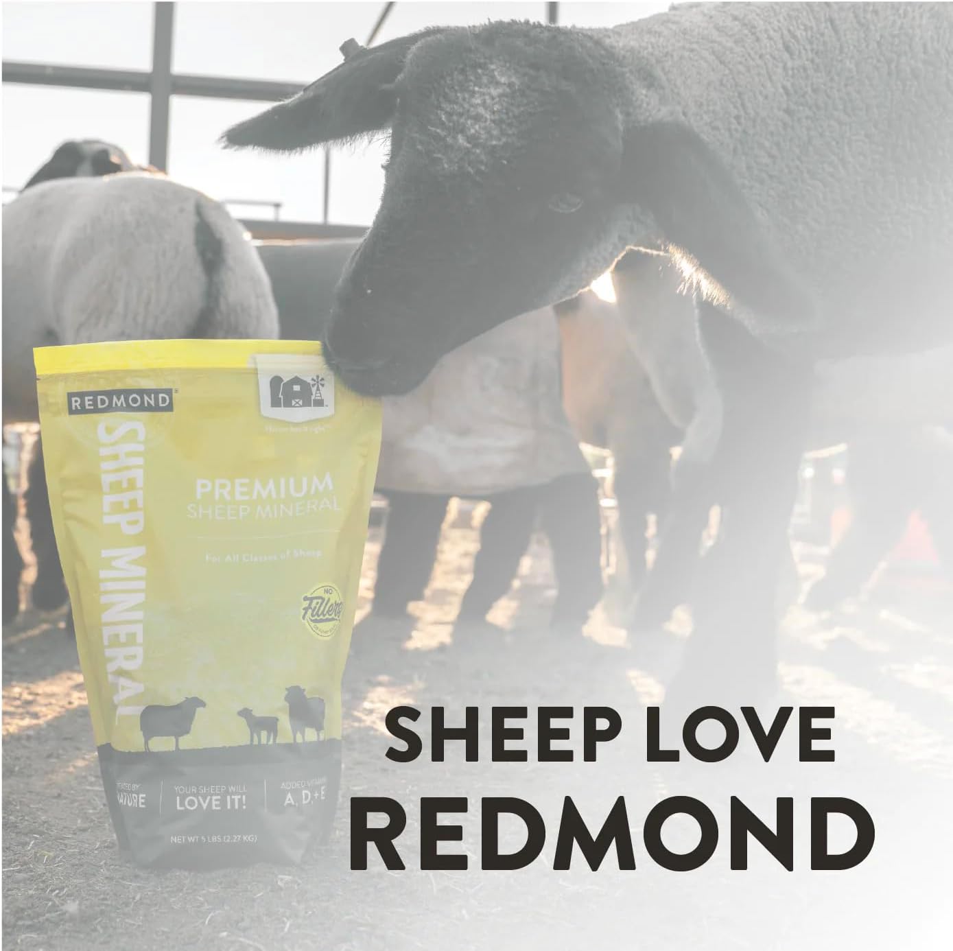 Redmond All Natural Sheep Mineral Supplement - Supports Optimal Health and Growth with Essential Trace Minerals - 5 lbs