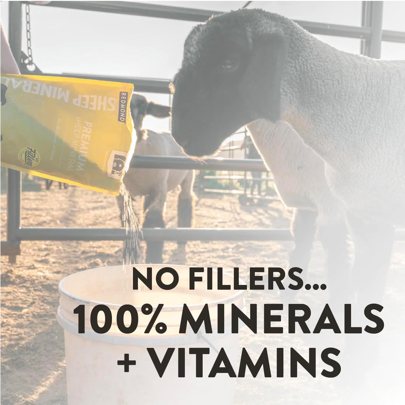 Redmond All Natural Sheep Mineral Supplement - Supports Optimal Health and Growth with Essential Trace Minerals - 5 lbs