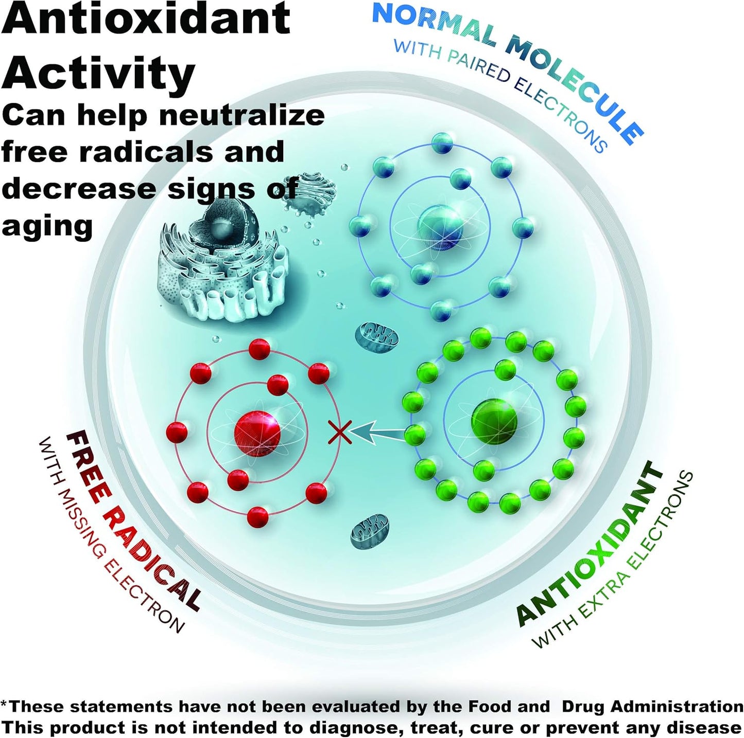 Reg'Activ Essential ME-3 Probiotic Capsules - Glutathione Production & Absorption in Intestines - 30 Count