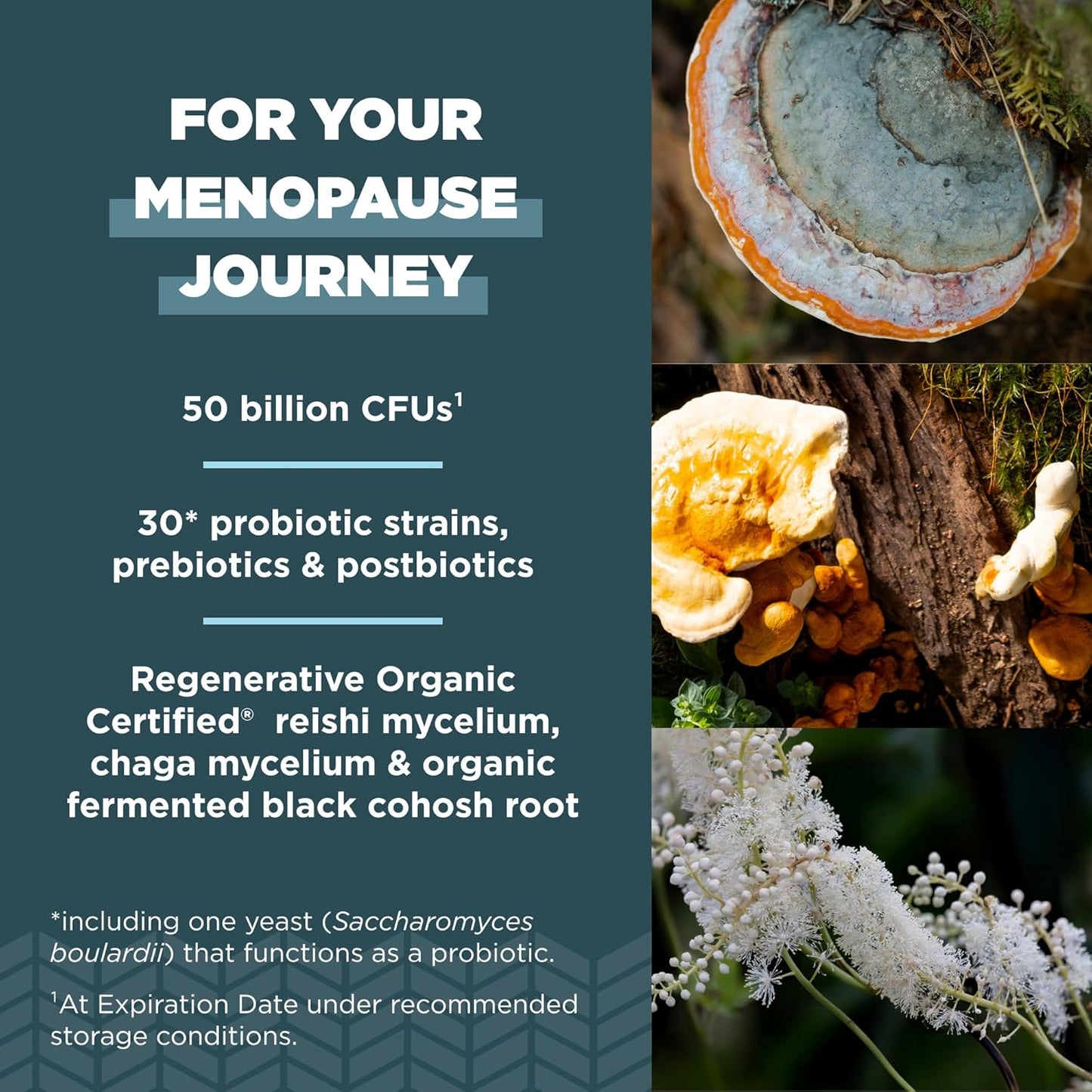 Regenerative Organic Certified Probiotics for Menopause & Digestion, 50 Billion CFUs, 60 Count