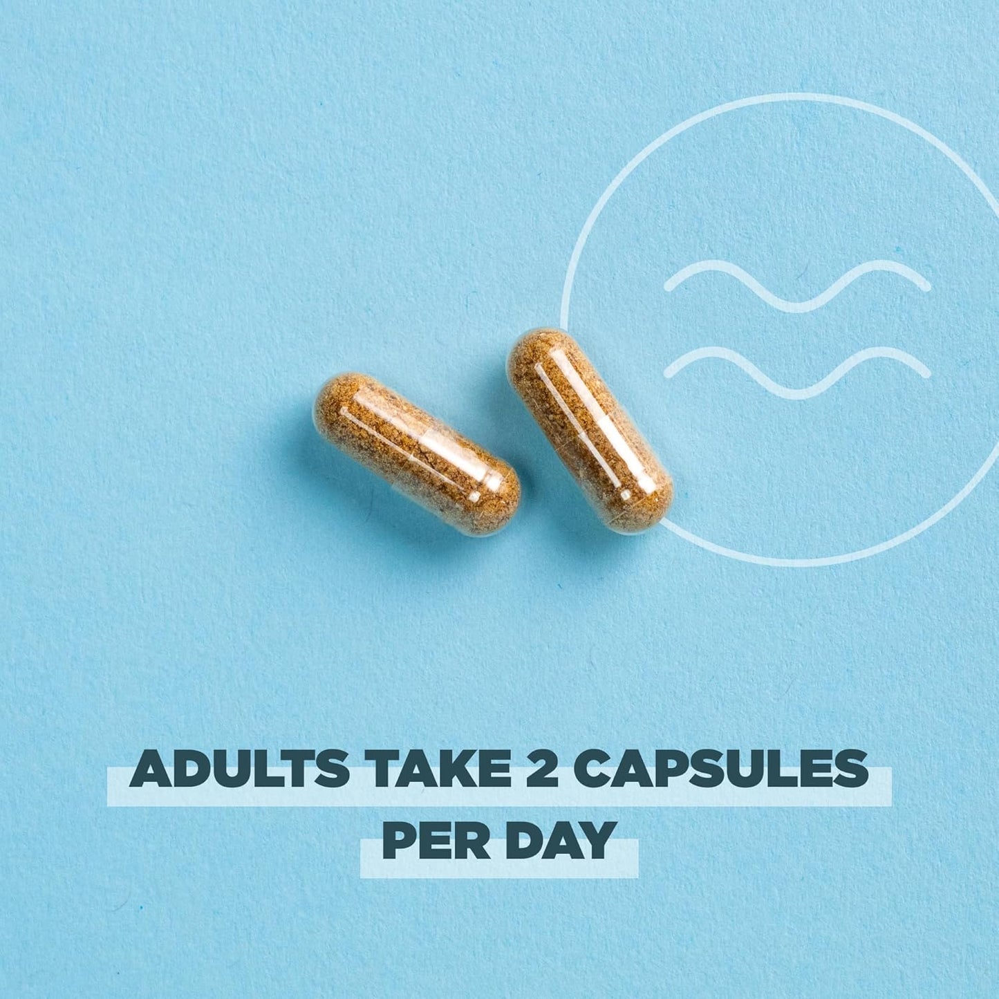 Regenerative Organic Certified Probiotics for Menopause & Digestion, 50 Billion CFUs, 60 Count