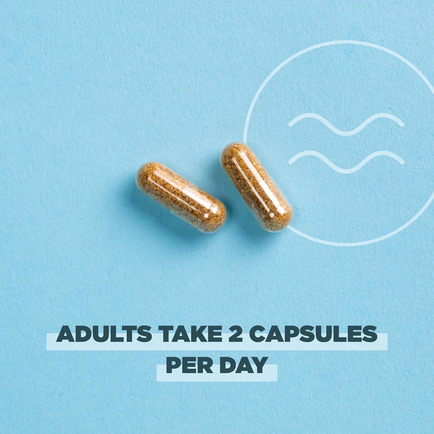 Regenerative Organic Certified Probiotics for Menopause & Digestion, 50 Billion CFUs, 60 Count