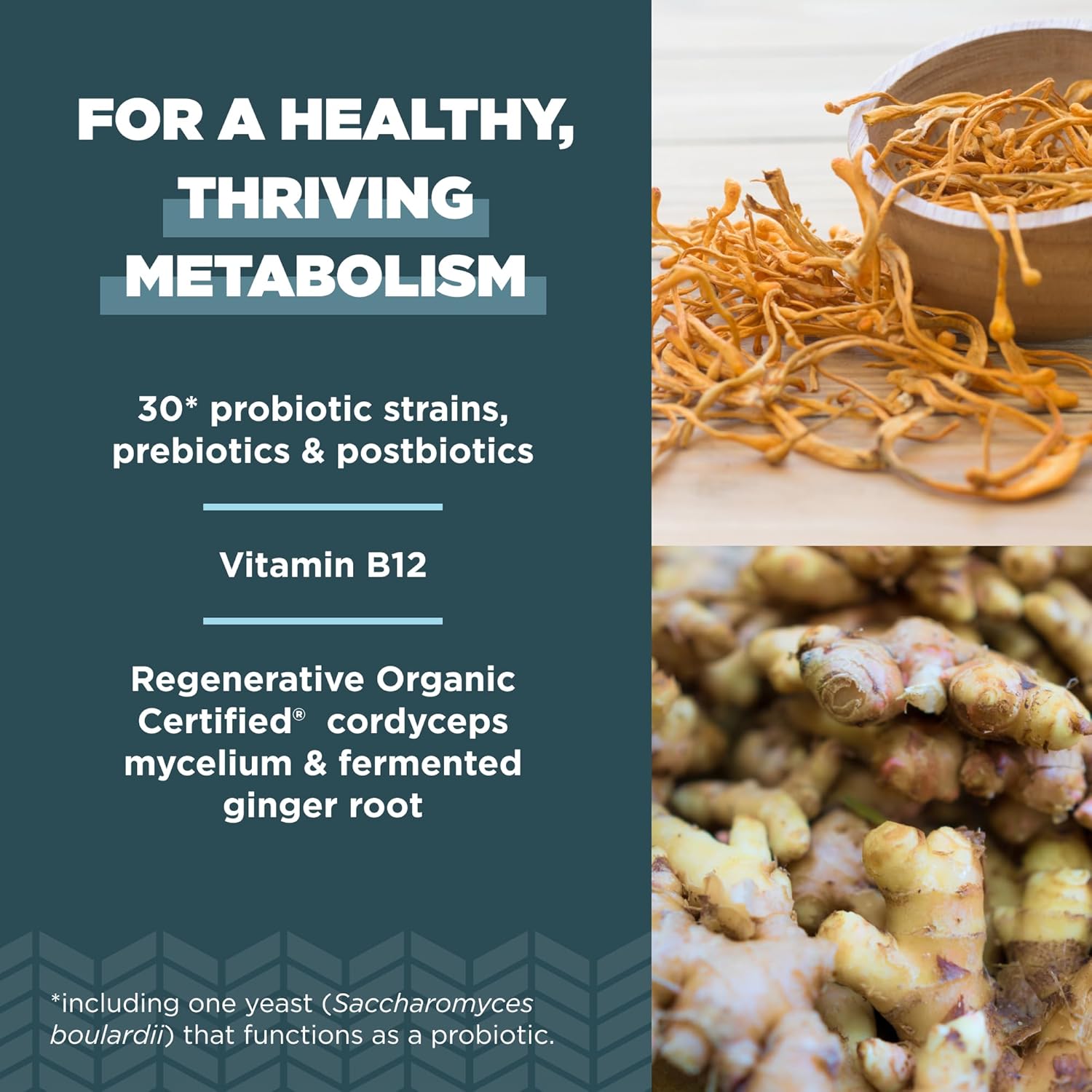 Regenerative Organic Certified Probiotics with 50 Billion CFUs for Metabolism, Digestion, and Immune System - 60 Count