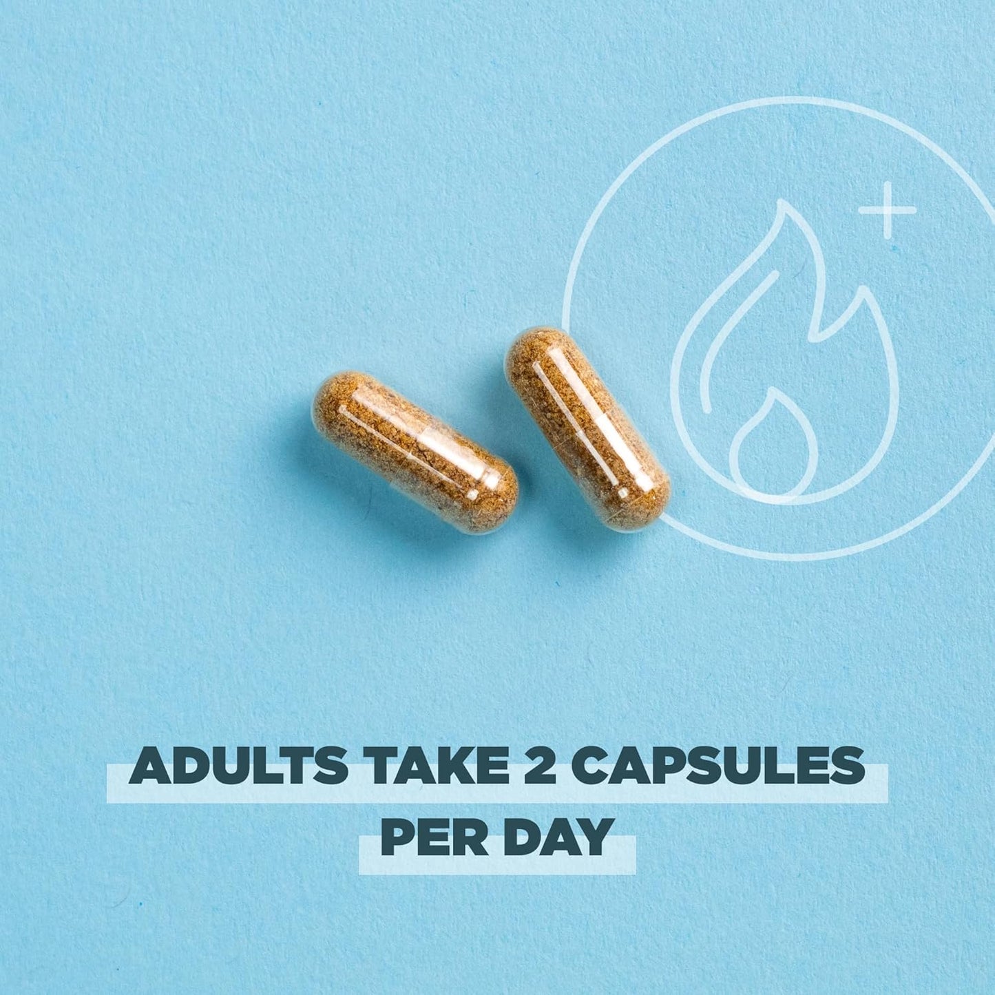 Regenerative Organic Certified Probiotics with 50 Billion CFUs for Metabolism, Digestion, and Immune System - 60 Count