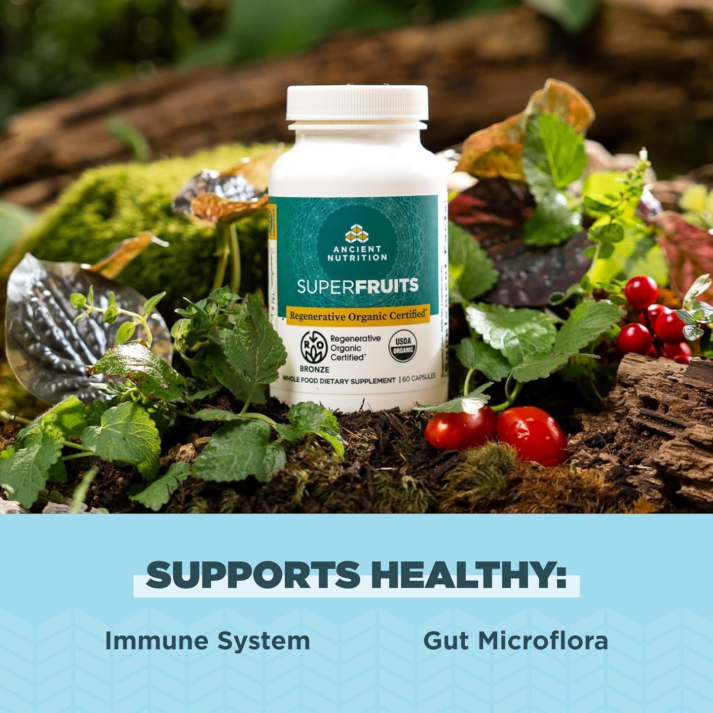 Regenerative Organic SuperFruits Capsules with Probiotics - Gut & Immune System Support - Dragonfruit, Mulberry, Goji - 60 Count