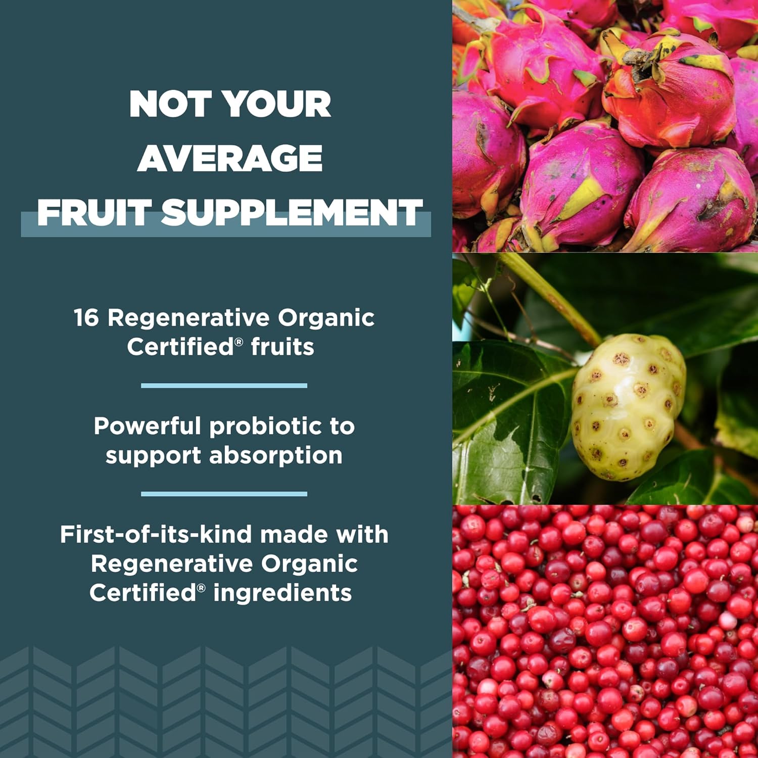 Regenerative Organic SuperFruits Capsules with Probiotics - Gut & Immune System Support - Dragonfruit, Mulberry, Goji - 60 Count