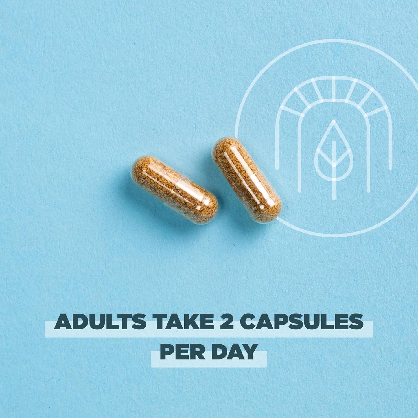 Regenerative Organic SuperFruits Capsules with Probiotics - Gut & Immune System Support - Dragonfruit, Mulberry, Goji - 60 Count