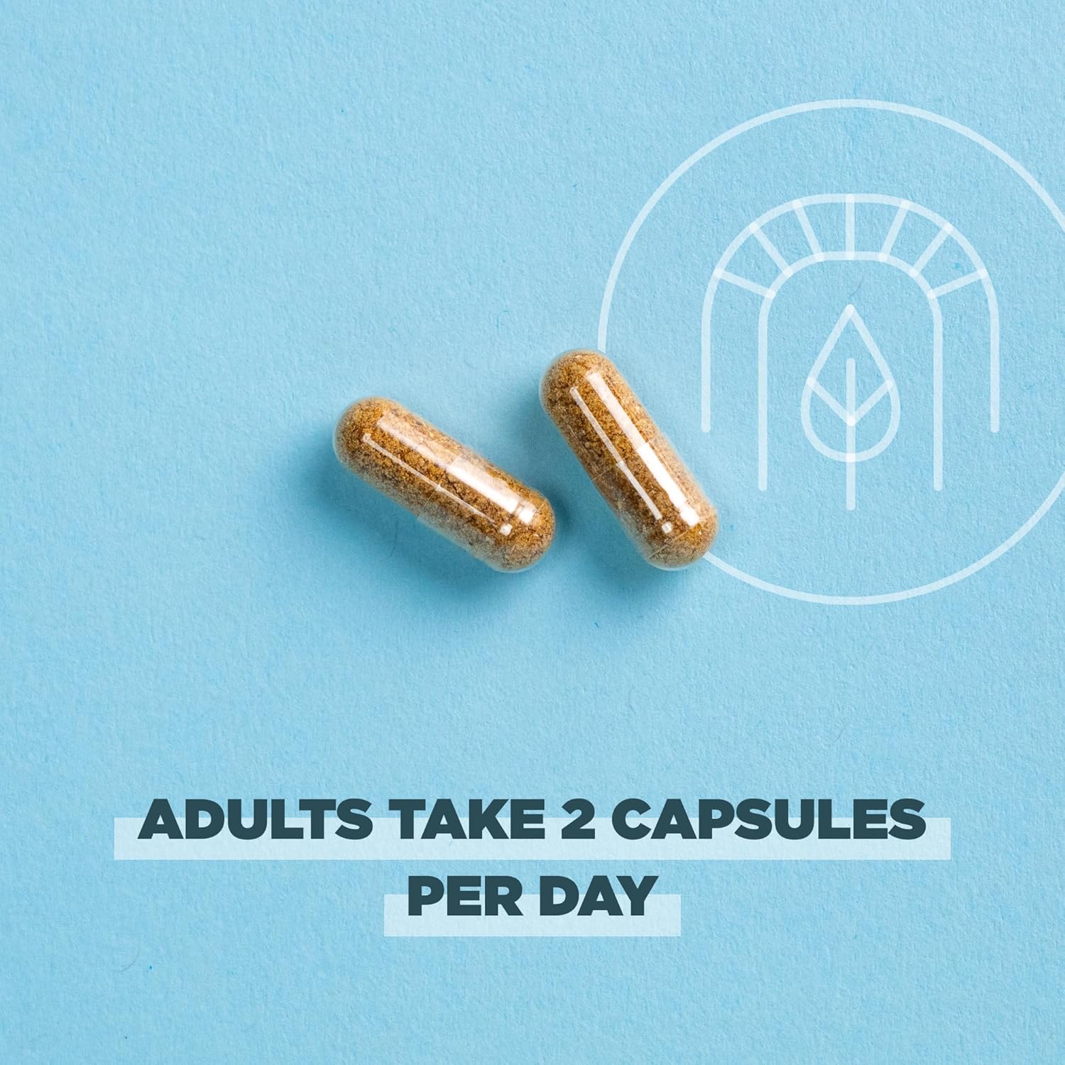 Regenerative Organic SuperFruits Capsules with Probiotics - Gut & Immune System Support - Dragonfruit, Mulberry, Goji - 60 Count