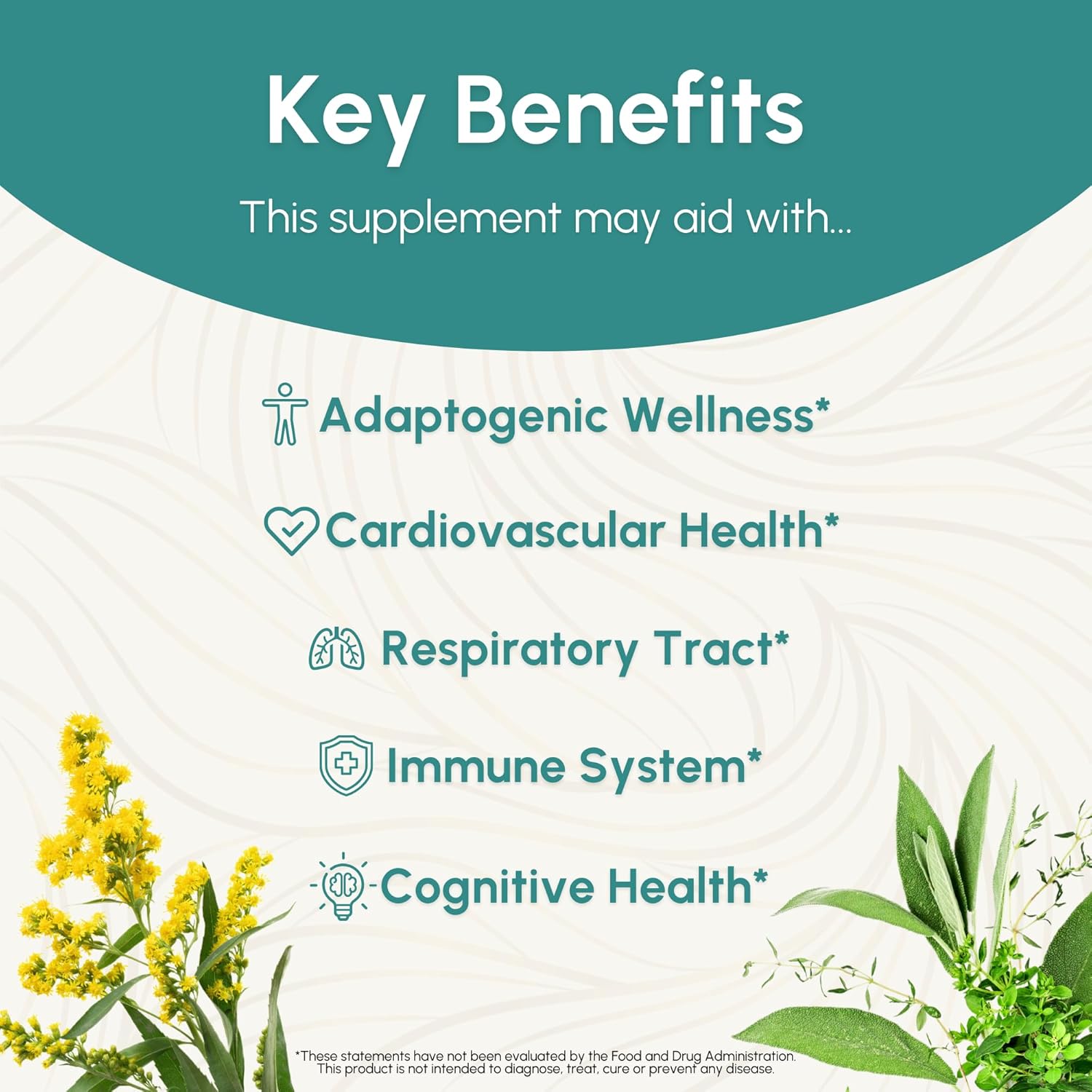 Reishi Tincture Herbal Supplement for Nervous, Immune, Respiratory, Cardiovascular & Metabolic Health - 2 Fl Oz