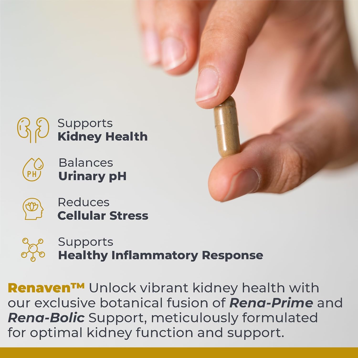 RenaVen: Kidney Cleanse Detox & Repair, Improve Function with Fermented Cordyceps - 60 Capsules