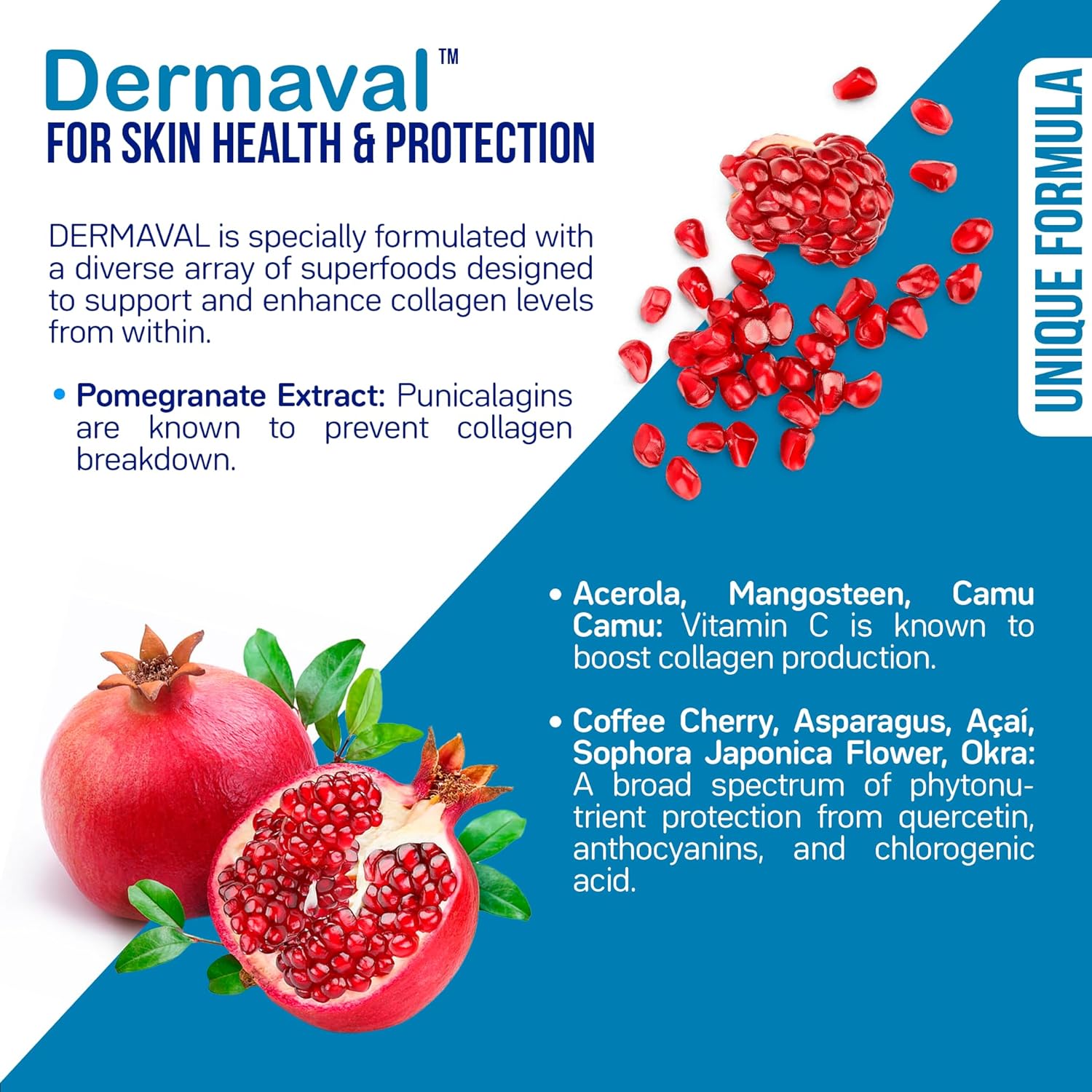 Renew Flora Advanced Collagen & Skin Support with Antioxidants, Digestive Enzymes, and Probiotics - 30 Day Supply