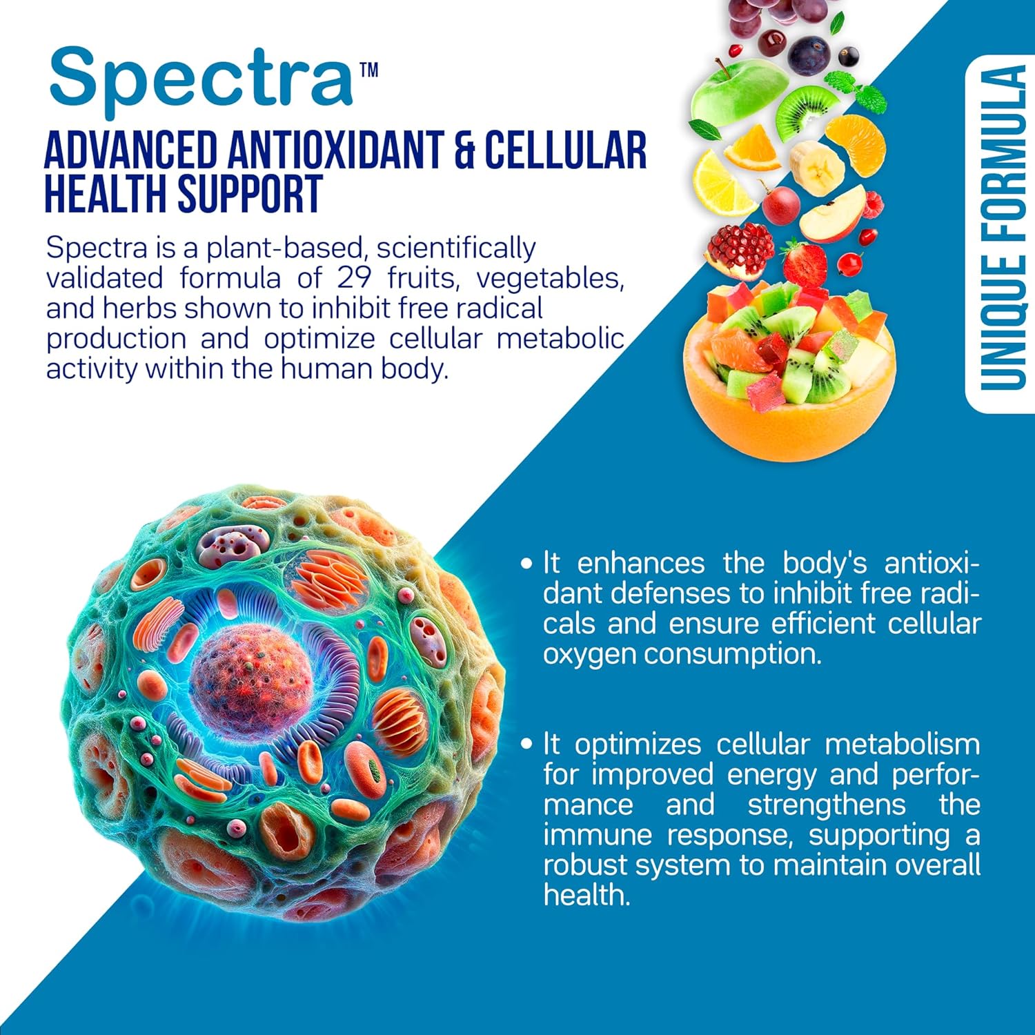 Renew Flora Advanced Collagen & Skin Support with Antioxidants, Digestive Enzymes, and Probiotics - 30 Day Supply