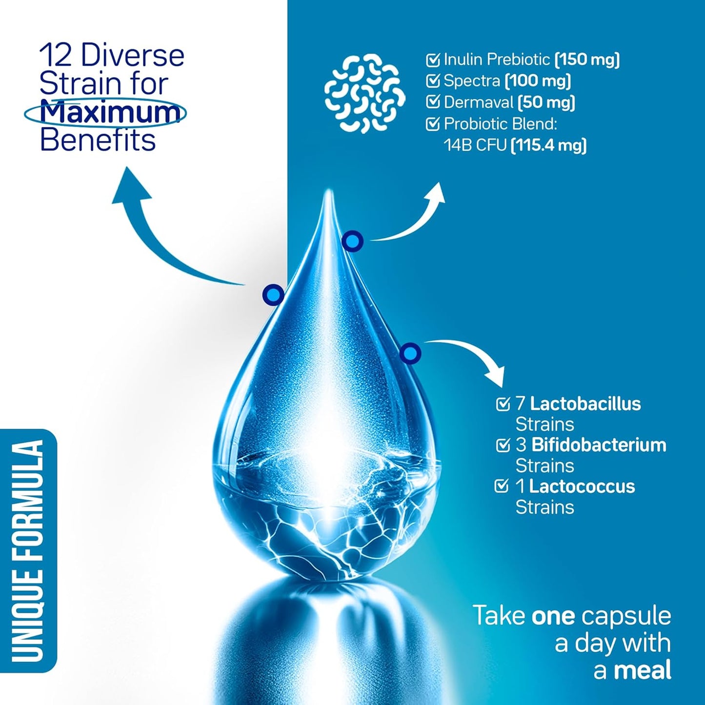 Renew Flora Advanced Collagen & Skin Support with Antioxidants, Digestive Enzymes, and Probiotics - 30 Day Supply