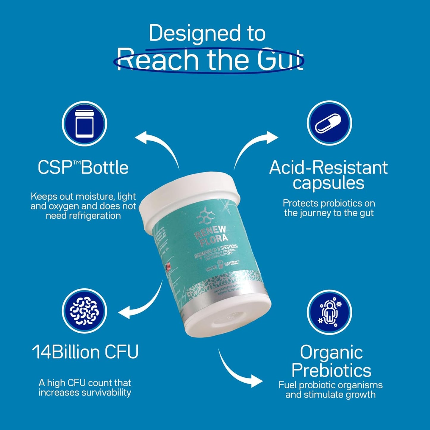 Renew Flora Advanced Collagen & Skin Support with Antioxidants, Digestive Enzymes, and Probiotics - 30 Day Supply