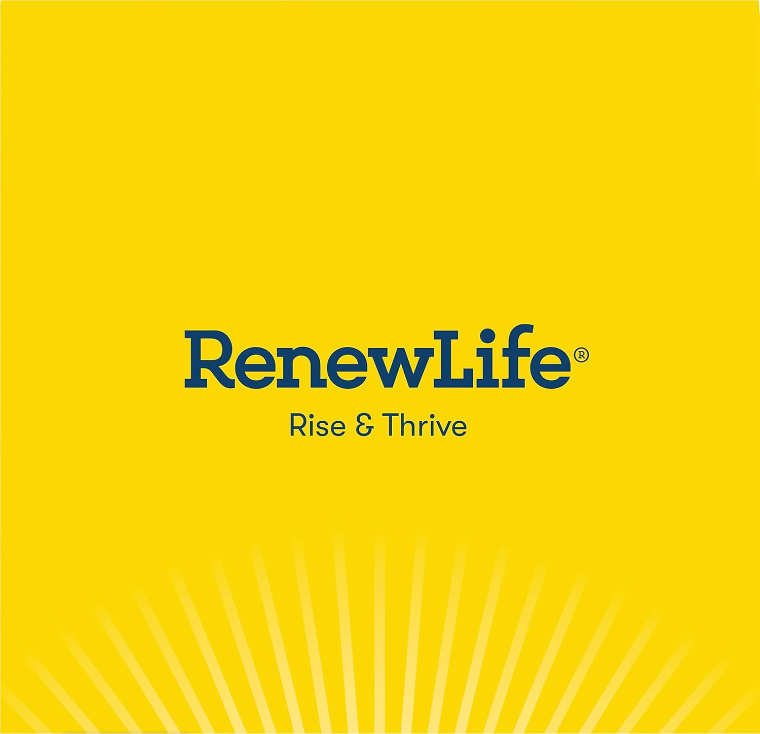 Renew Life Everyday Probiotic Capsules for Urinary, Digestive, and Immune Health - 30 Count, 15 Billion CFU, L. Rhamnosus GG, Dairy, Soy, Gluten-Free