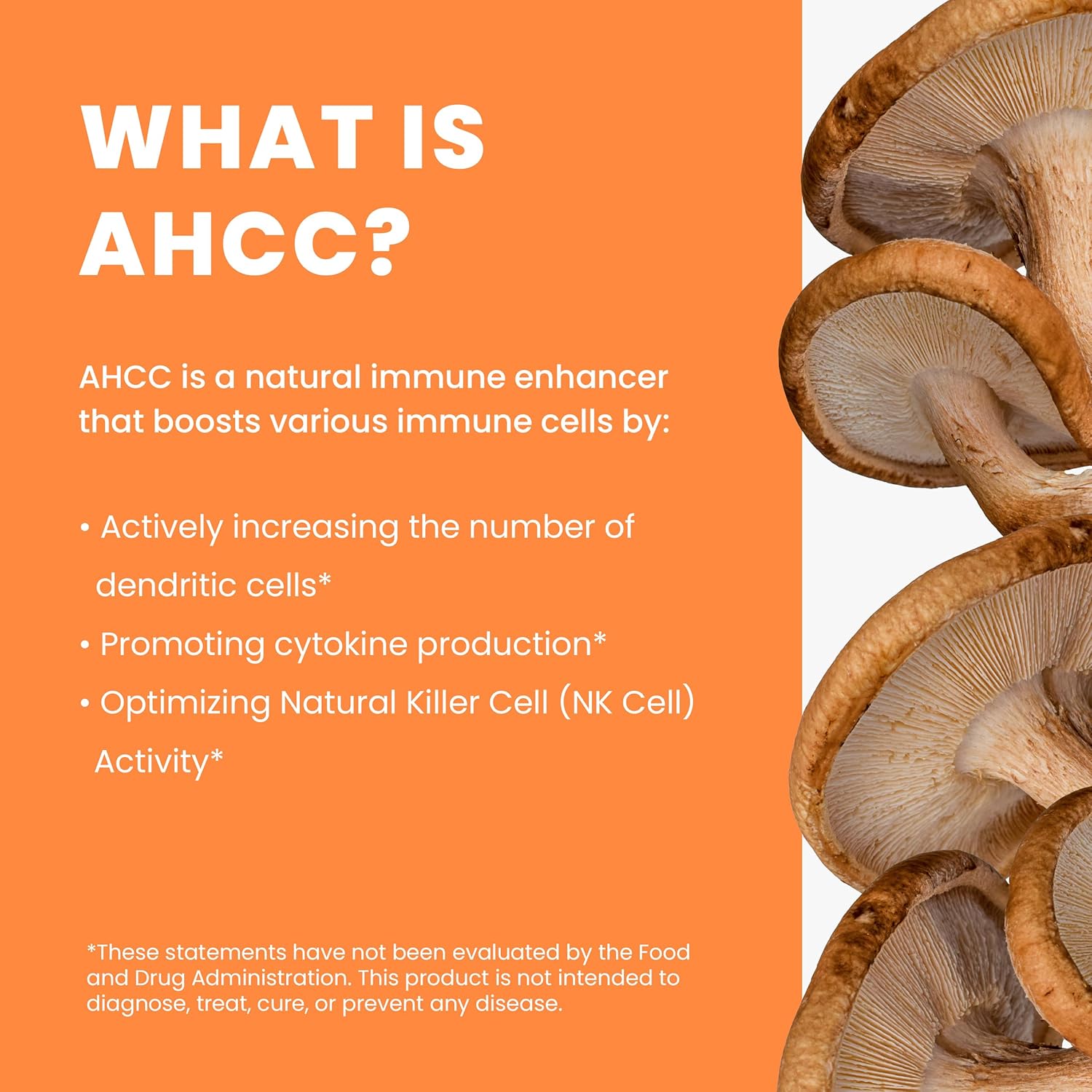 Research Biotech Group Immune-HD Supplement with AHCC Mushroom Extract for Immune Support, Natural Killer Cell Activity, Liver Function - 90 Capsules