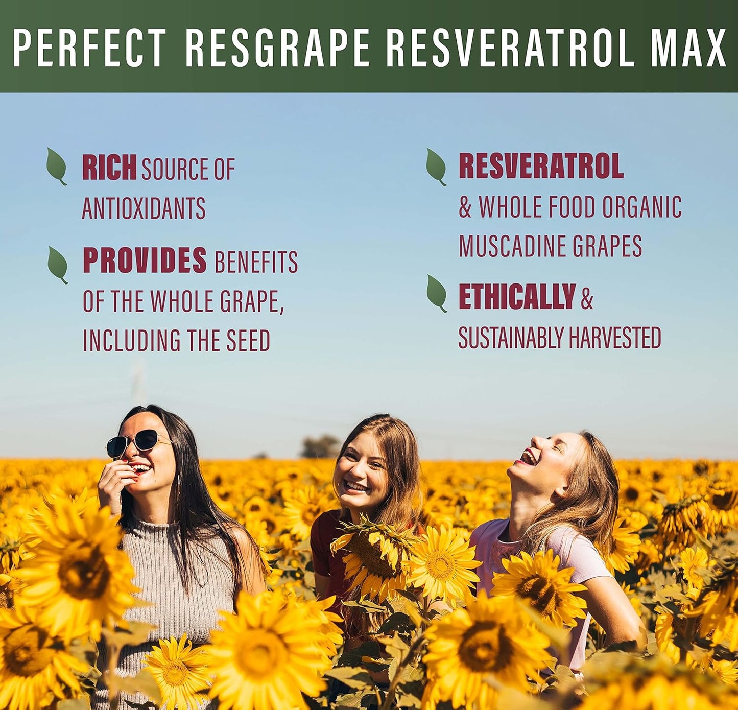 ResGrape Max Anti-Aging Supplement with 99% Trans-Resveratrol - Pack of 3 (180 Capsules) - Potent Antioxidant from Perfect Supplements
