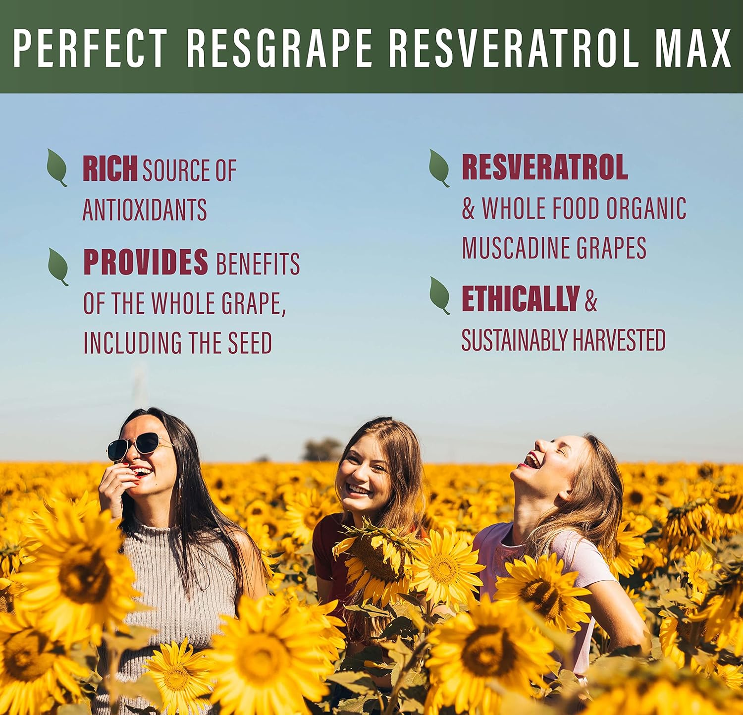 ResGrape Max Anti-Aging Supplement with 99% Trans-Resveratrol - Pack of 3 (180 Capsules) - Potent Antioxidant from Perfect Supplements