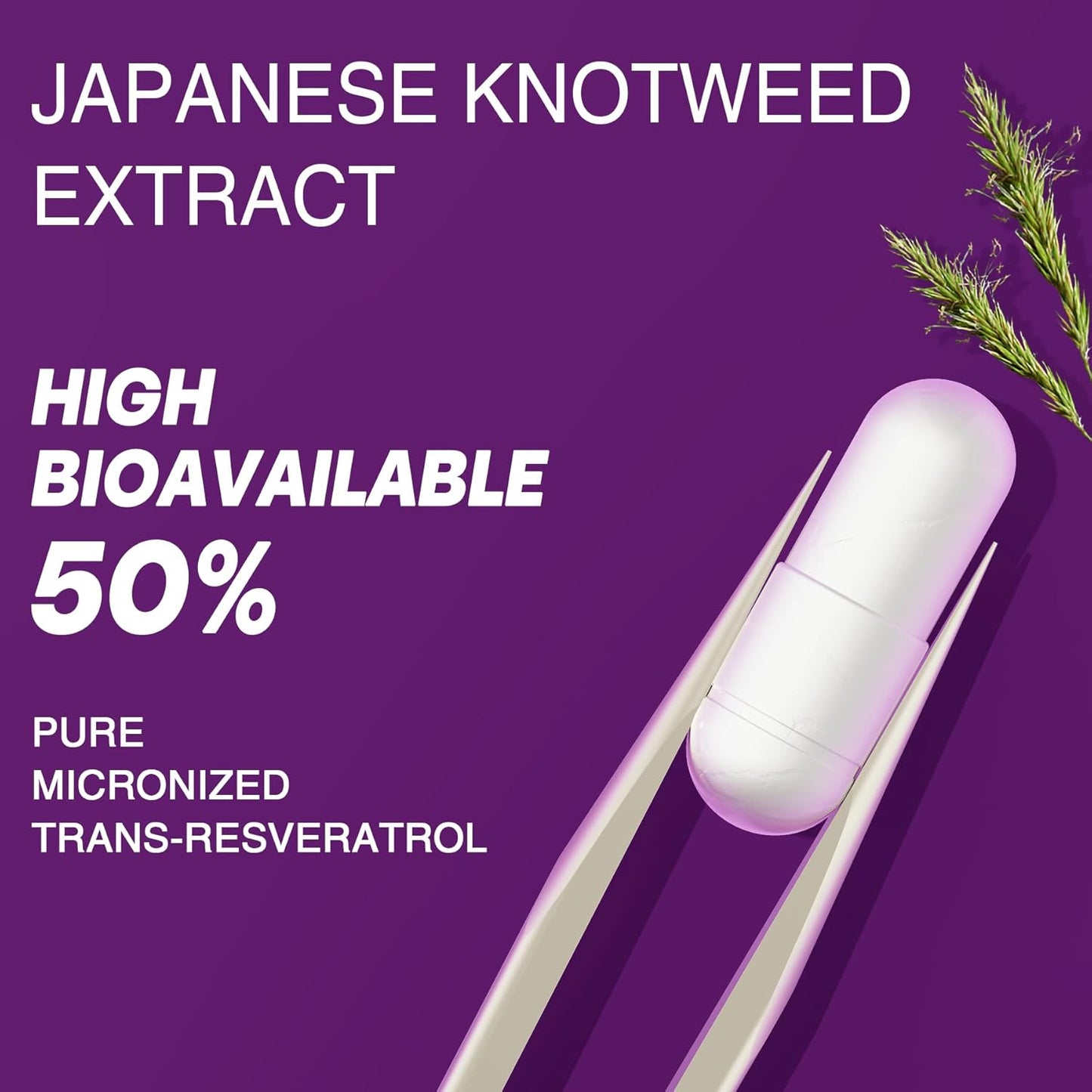 Resveratrol Capsules 2-Pack by Safgumjel - Antioxidant Supplement for Health and Wellness