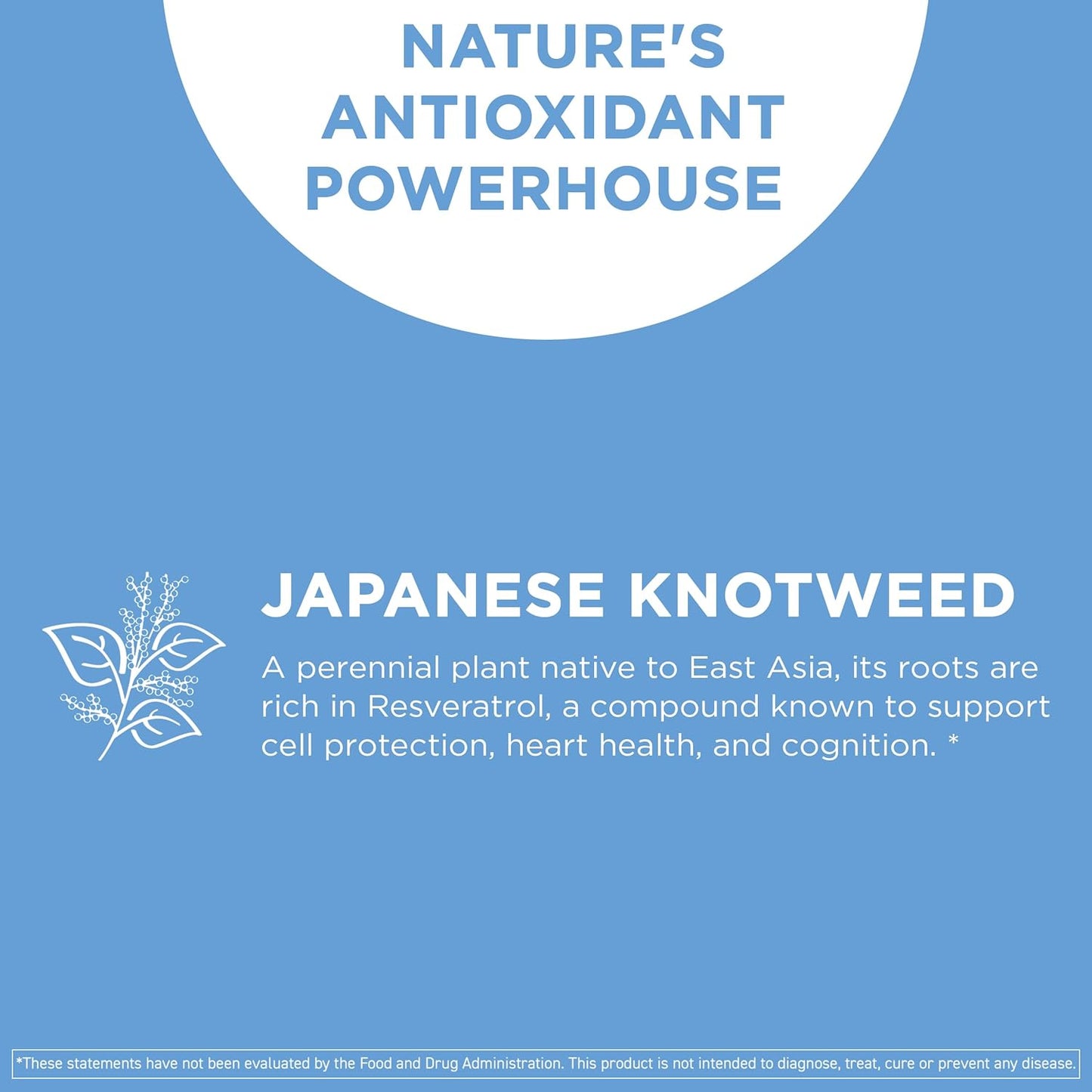 Resveratrol Capsules with NAD+ for Vital Vitamin Support