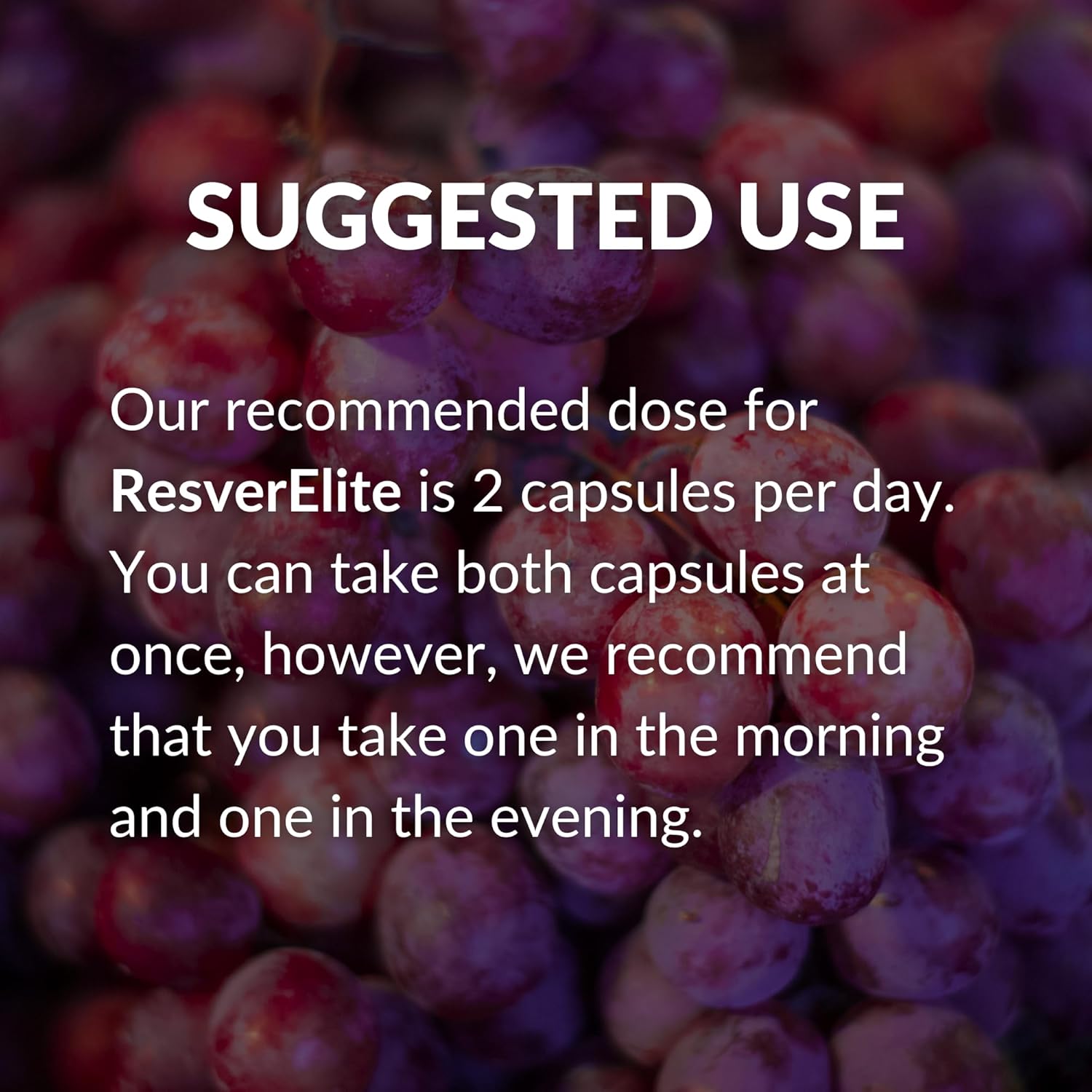 ResverElite by BrocElite | Vegan Resveratrol Supplement with No Fillers | Non-GMO | 30 Servings