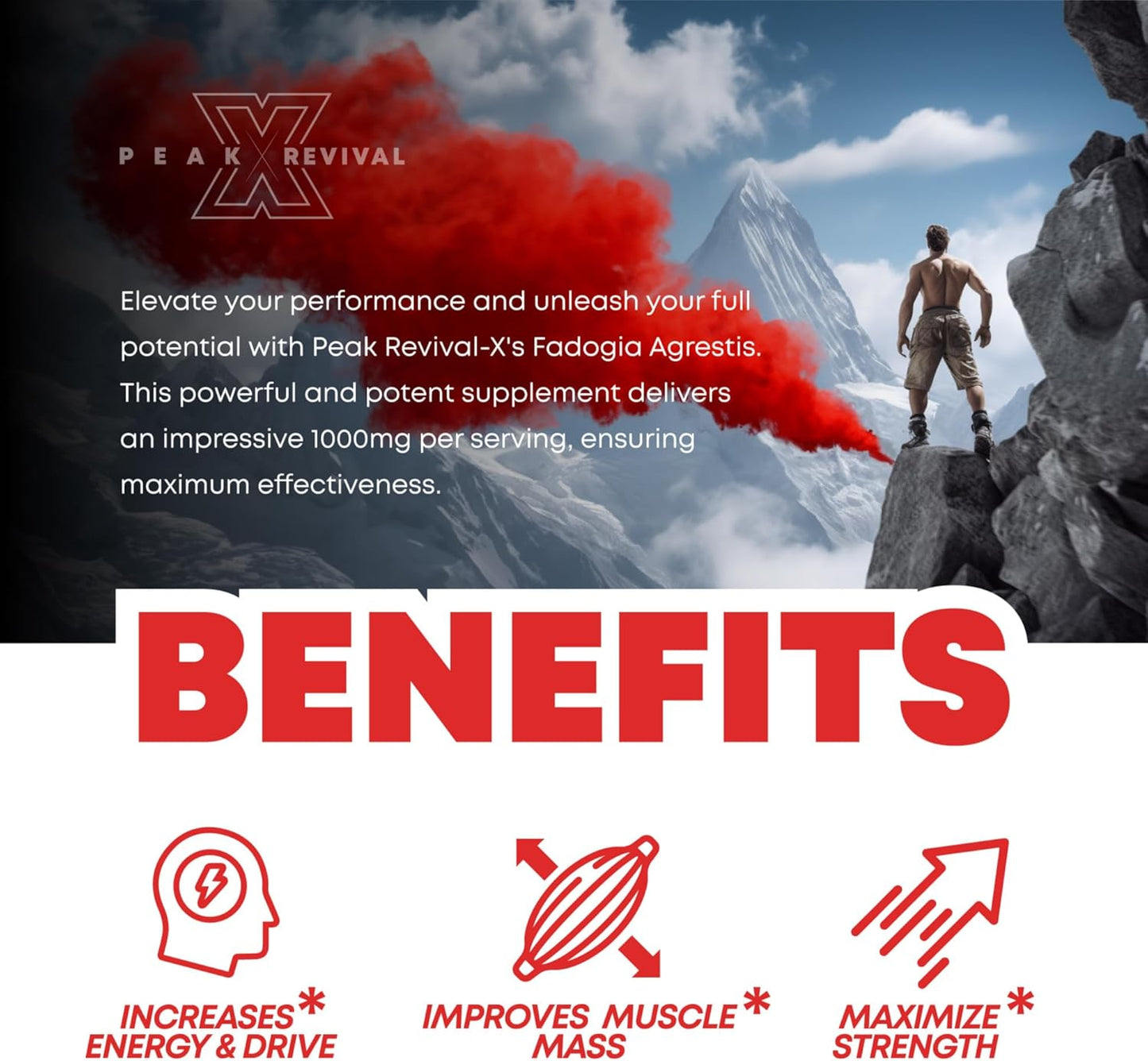 RevitalizeX Fadogia Agrestis Performance Supplement with Creatine, Turkesterone, and Tongkat Ali - 60 Capsules, Gluten-Free, Non-GMO, Vegan