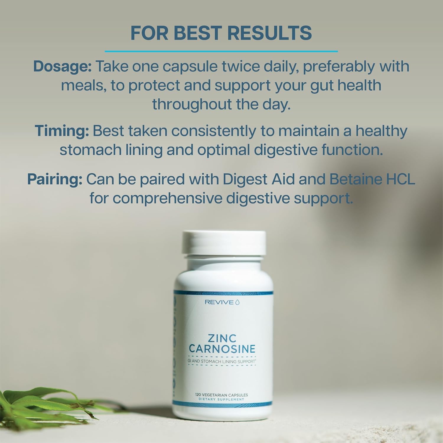 Revive MD Zinc Carnosine Capsules for GI & Stomach Support - 120 Vegetarian Capsules - Immune, Antioxidant, & Brain Function Support