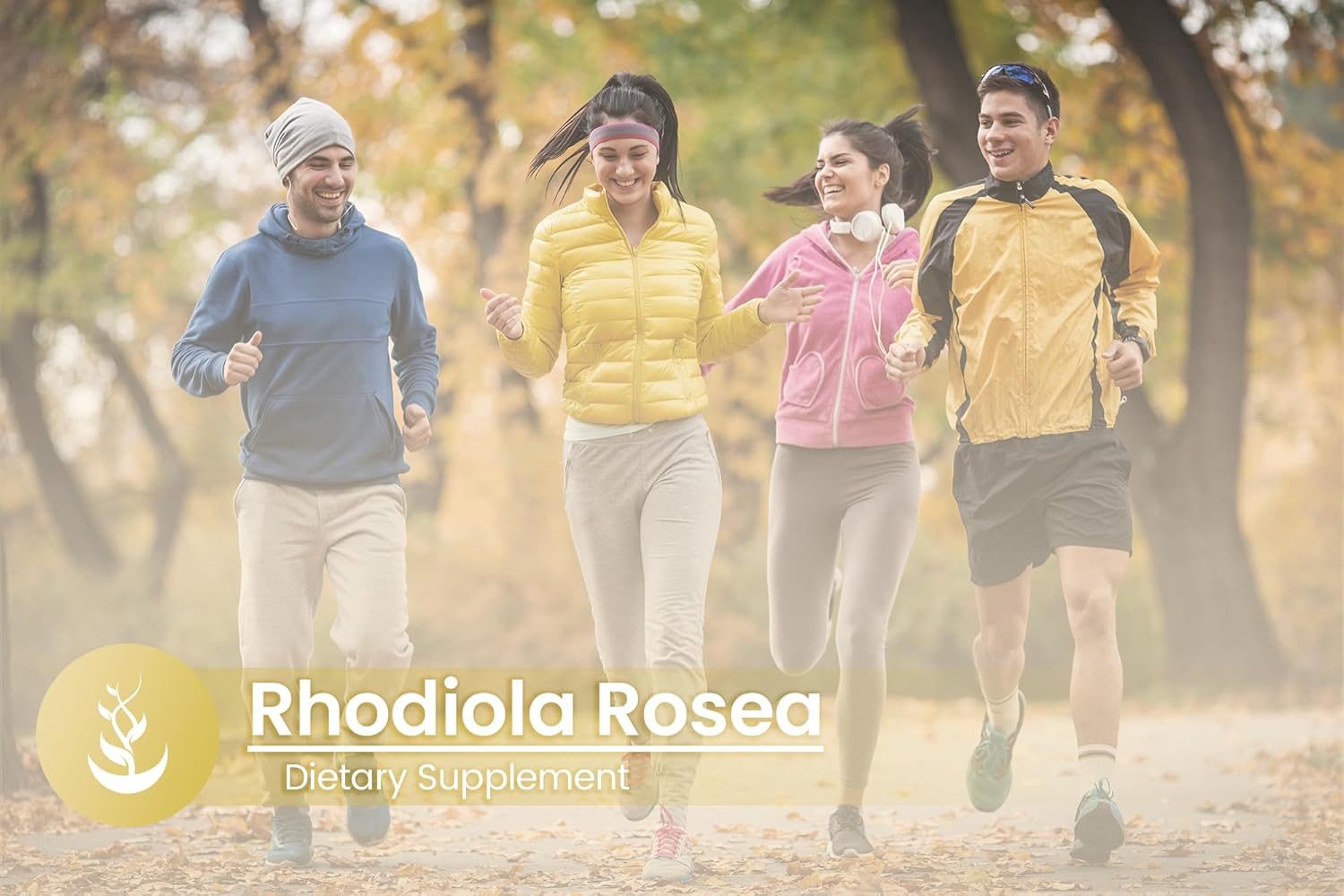 Rhodiola Rosea Capsules - 100 Count, Pure Ingredients, No Additives, Lab Verified