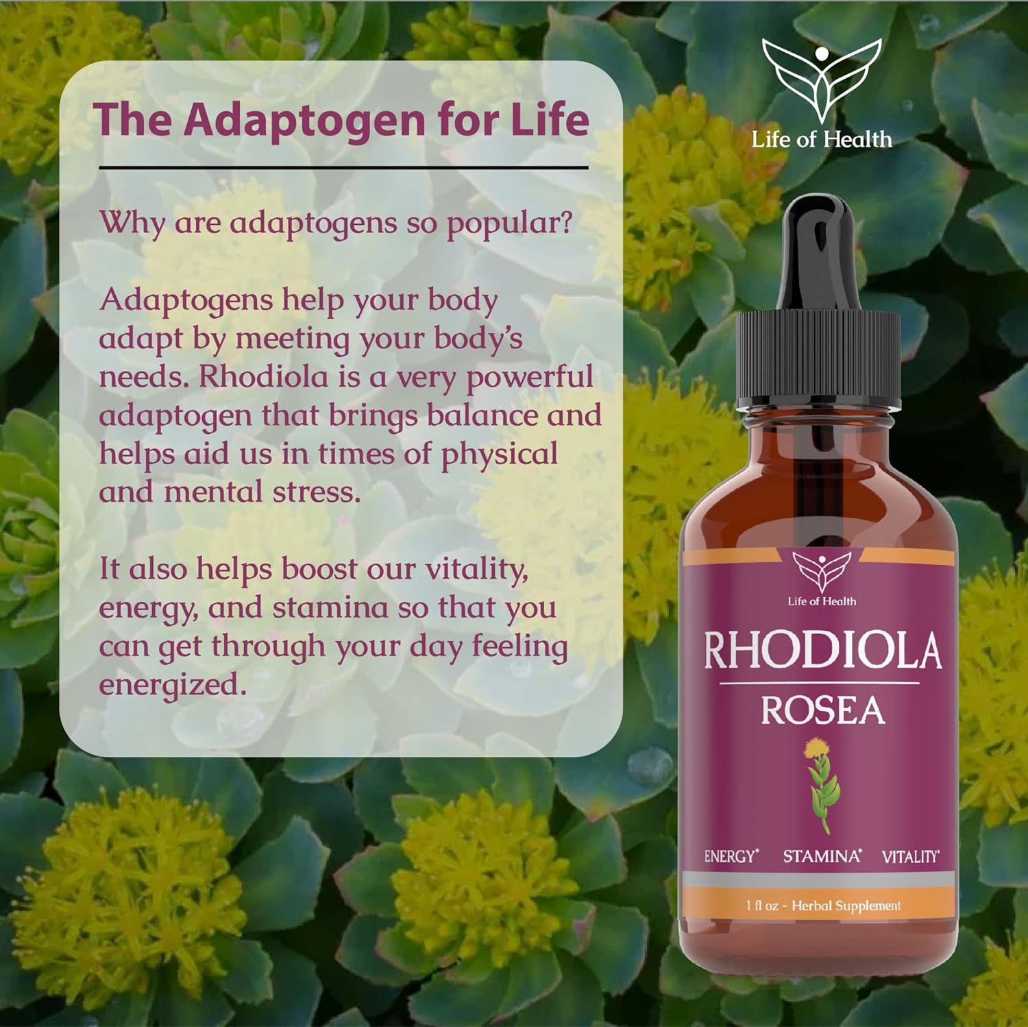 Rhodiola Rosea Tincture for Energy, Stamina, and Cognitive Support - Rhodiola Extract Supplement for Overall Health and Wellness (1oz)