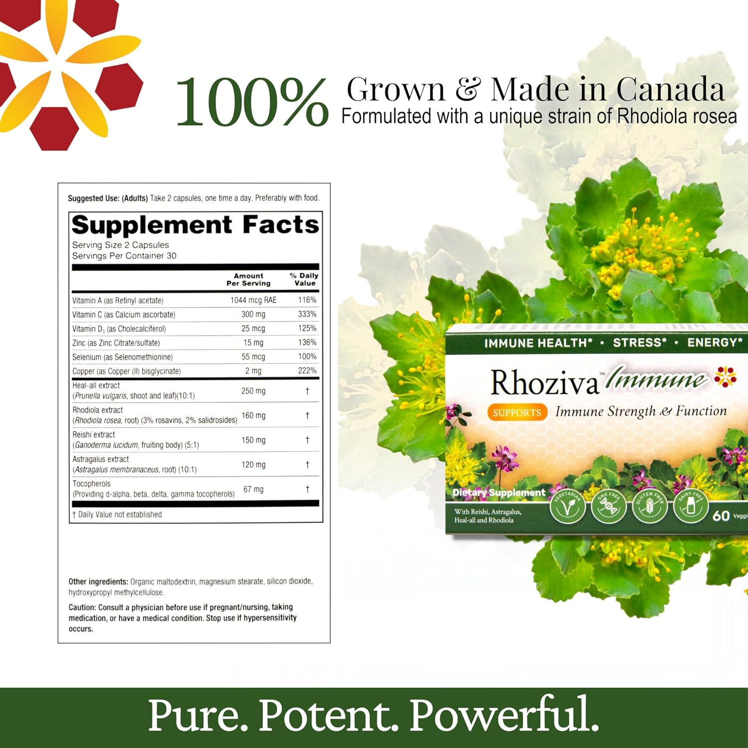 Rhoziva Immune Support and Energy Booster Supplement with Vitamin C, D3, and Zinc - Rhodiola Rosea, Reishi Mushroom, Astragalus - 60 Capsules - BoostGo Australia