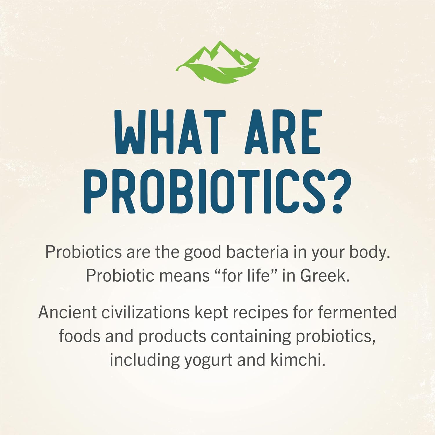 RidgeCrest Herbals Intelligut: Memory and Focus Supplement with Ginkgo Biloba, Lemon Balm Extract, Probiotics - 60 Vegan Capsules