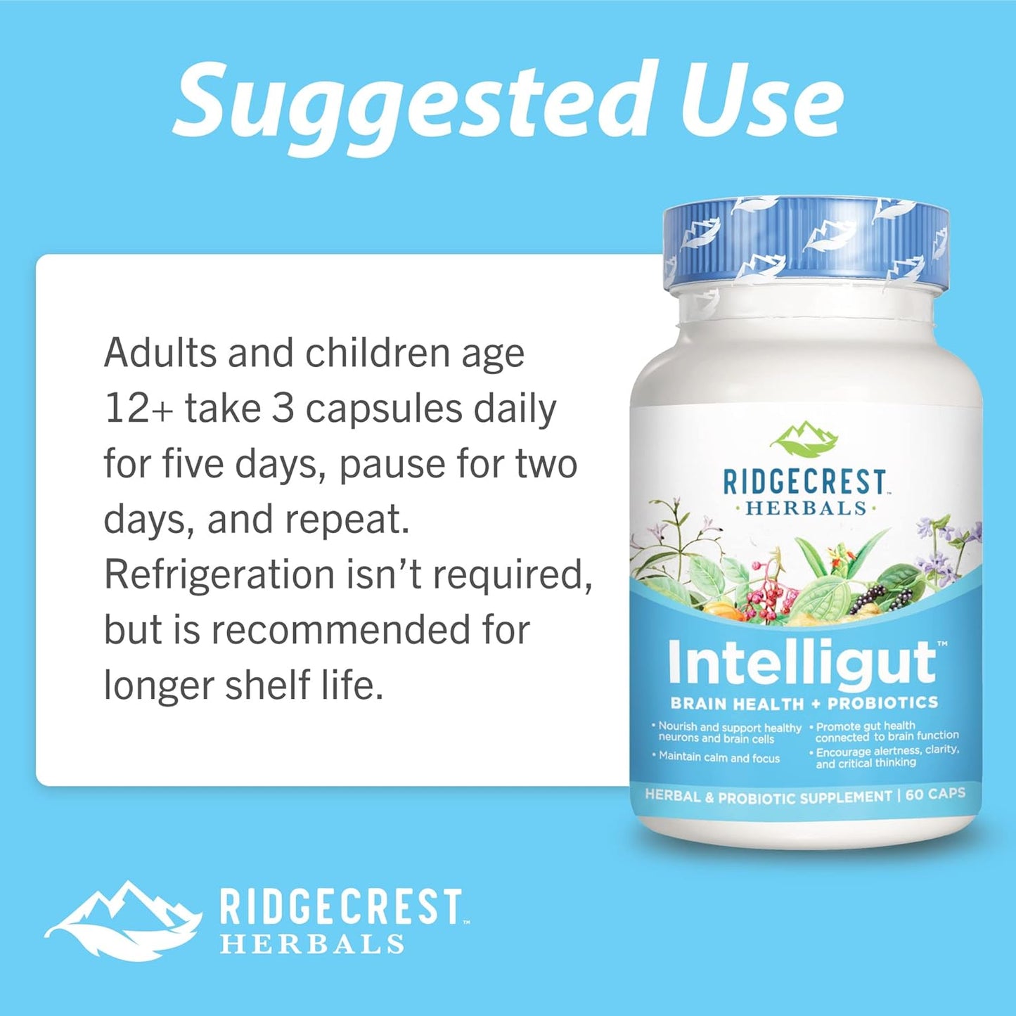 RidgeCrest Herbals Intelligut: Memory and Focus Supplement with Ginkgo Biloba, Lemon Balm Extract, Probiotics - 60 Vegan Capsules