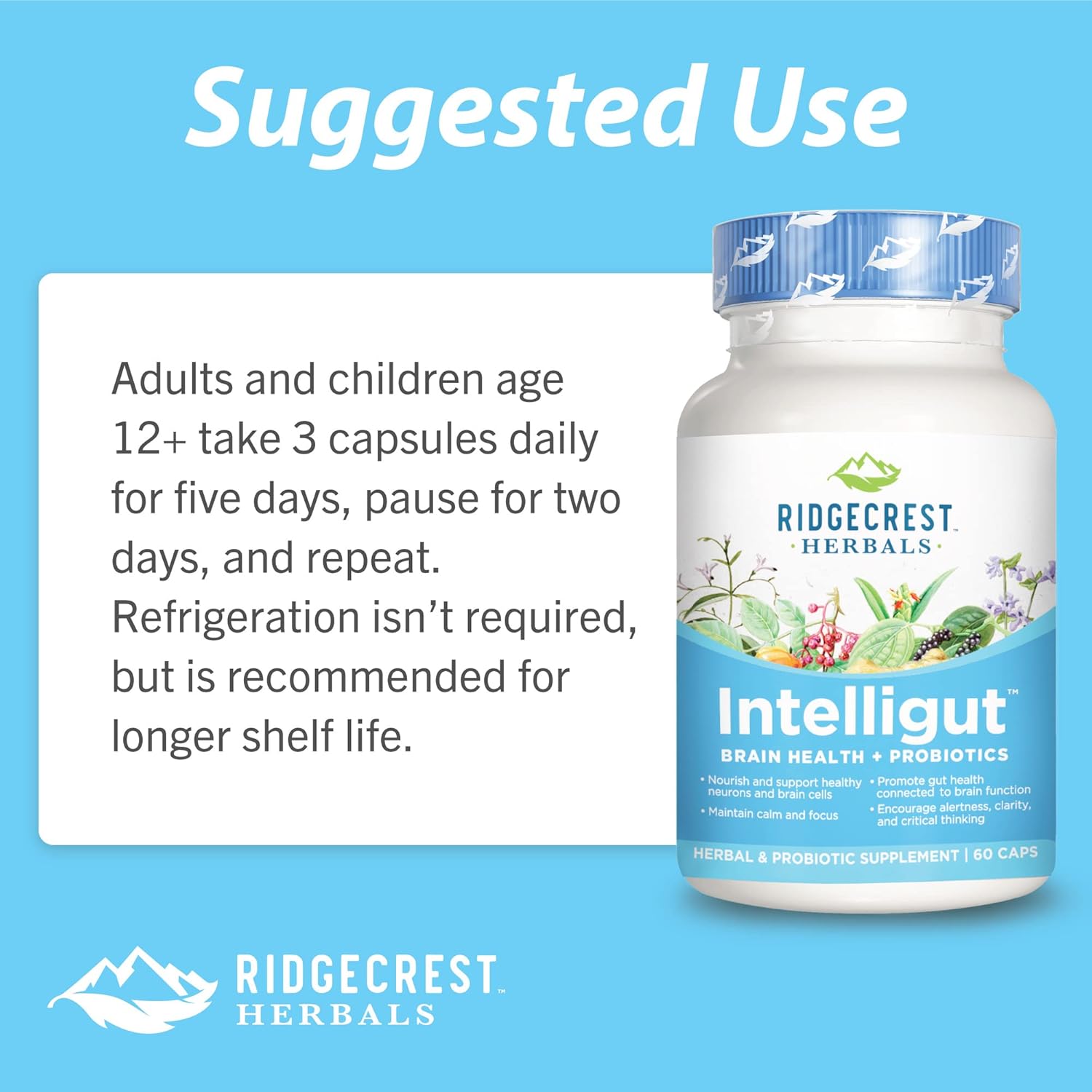 RidgeCrest Herbals Intelligut: Memory and Focus Supplement with Ginkgo Biloba, Lemon Balm Extract, Probiotics - 60 Vegan Capsules