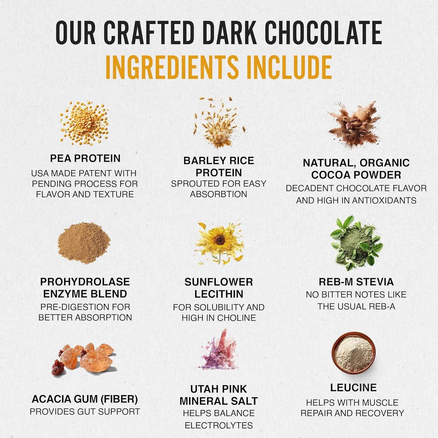 RISE311 Dark Chocolate Plant-Based Protein Powder - 30g Smooth & Creamy Protein for Men & Women, Supports Well-Being, Small Batch - 15 Servings