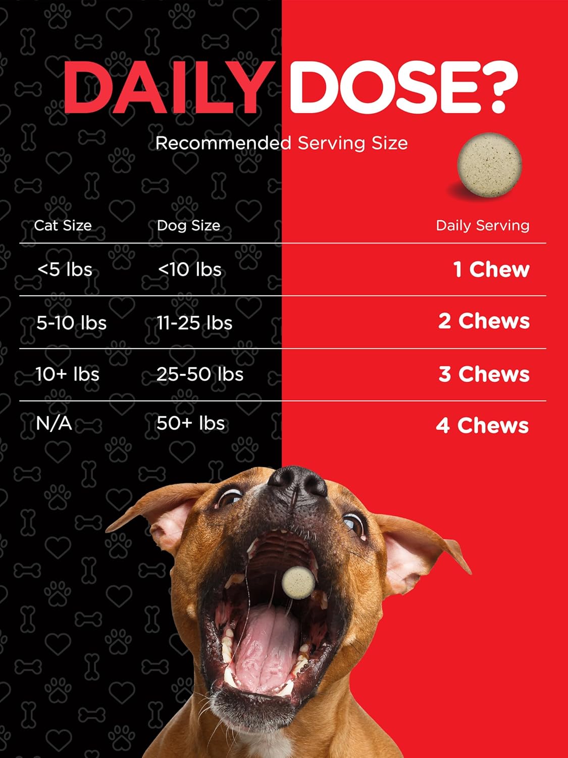 River & RULA Pet Multivitamin Chewable Tablets for Dogs & Cats | 120 Count | Health Support Supplement | Non-GMO, Gluten-Free