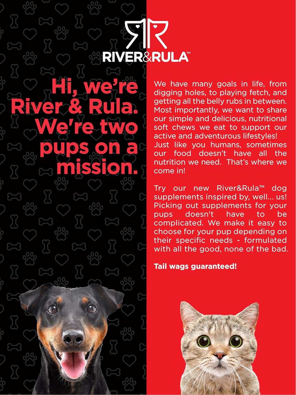 River & RULA Pet Multivitamin Chewable Tablets for Dogs & Cats | 120 Count | Health Support Supplement | Non-GMO, Gluten-Free