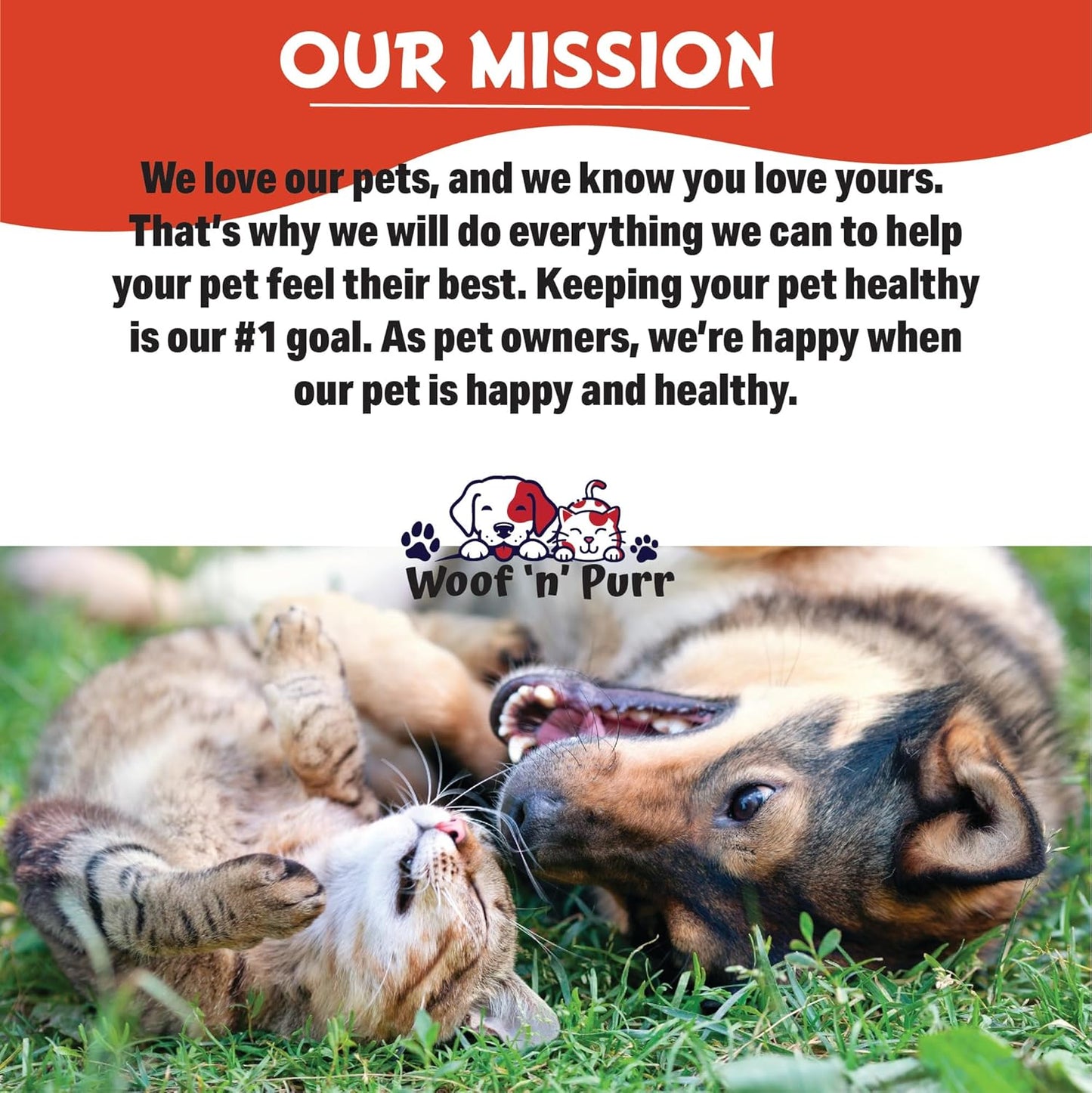 Roast Chicken Flavored Natural Cat Antibiotic for Cat Allergy Relief and UTI - 1 fl oz