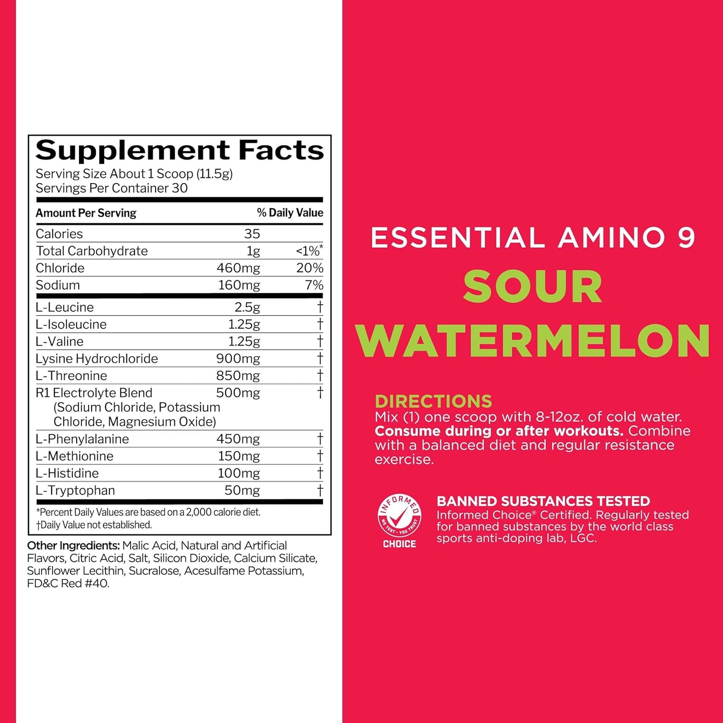 Rule 1 Essential Amino 9 - Recovery & Hydration Support with Electrolytes (Sour Watermelon, 30 Servings)