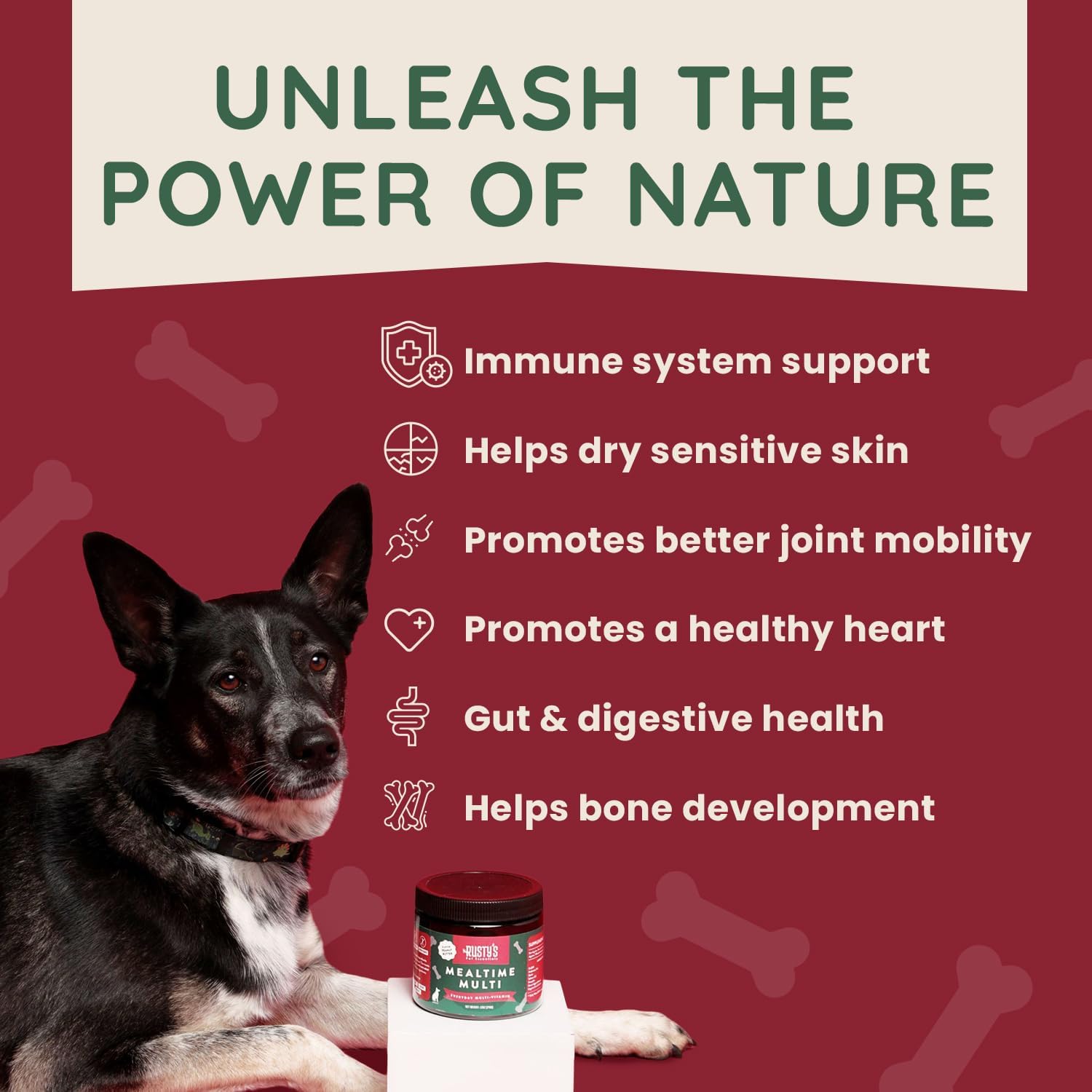 Rusty's Pet Essentials Premium Dog Multivitamin Supplement (170 Chews) with CoQ10, Probiotics, and Pumpkin for Immune Support, Joint Mobility, Healthy Skin & Coat - Made in USA