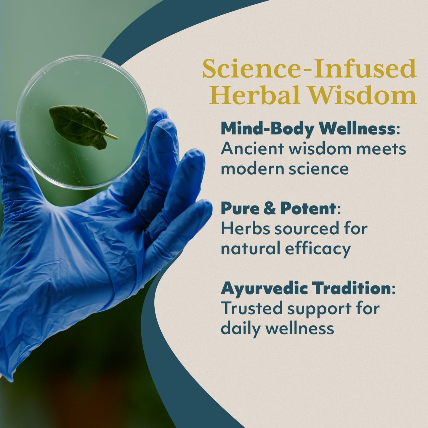 RUVED Wellness Jam with Amla and Enhanced Chyawanprash for Immune and Digestive Support - 10.6 oz